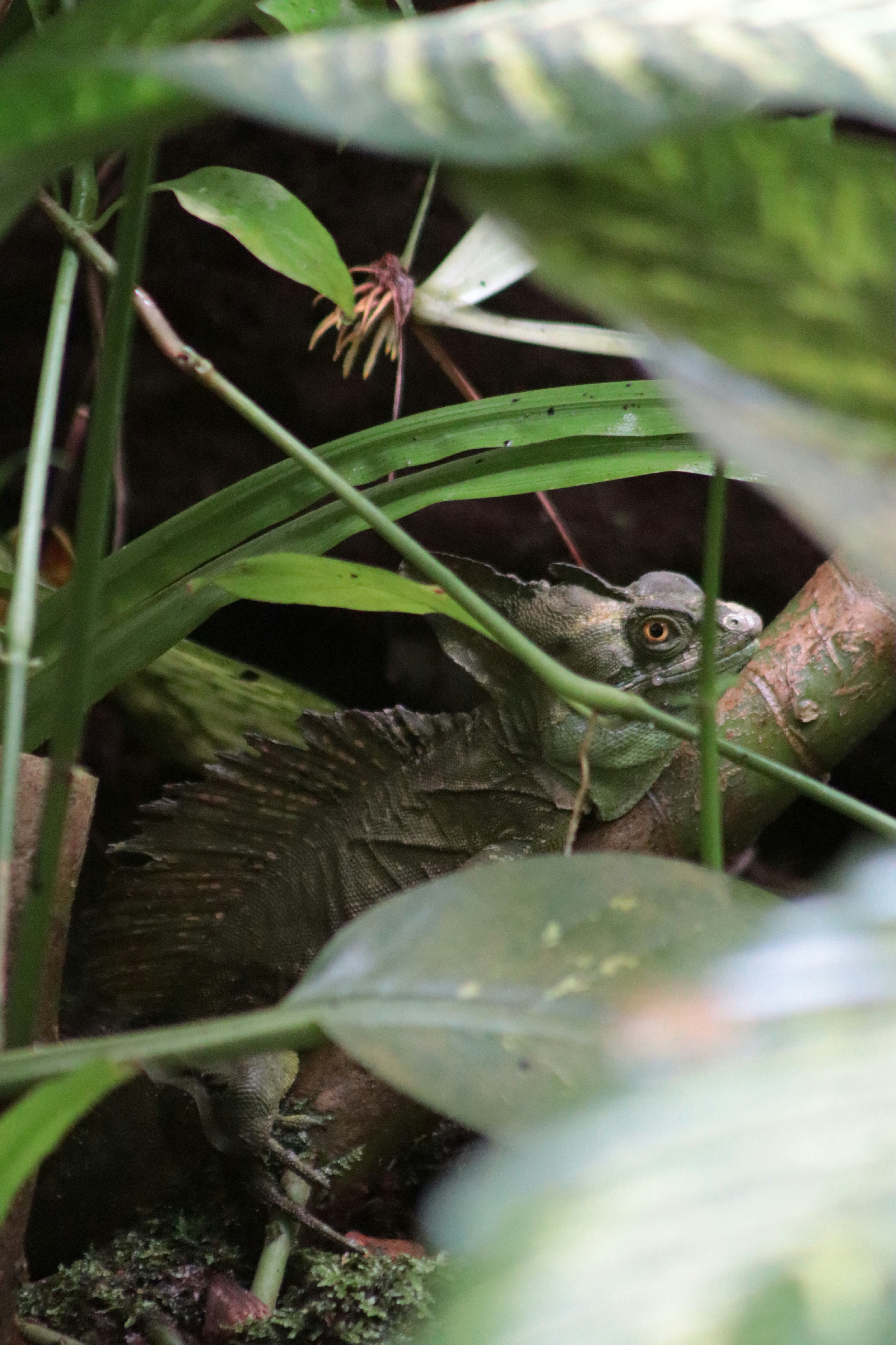 Photo by kccreations