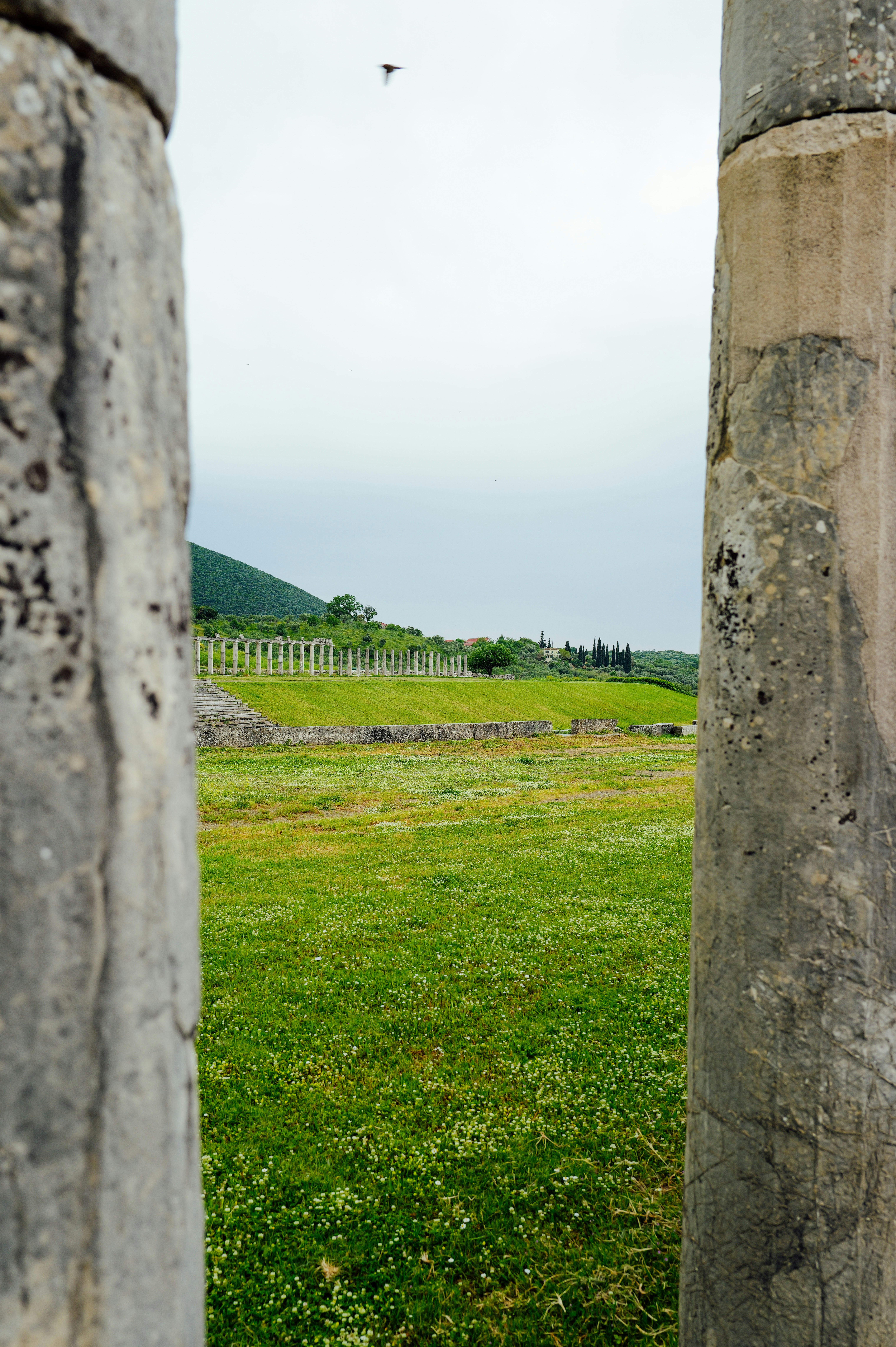 Photo by adrienolichon