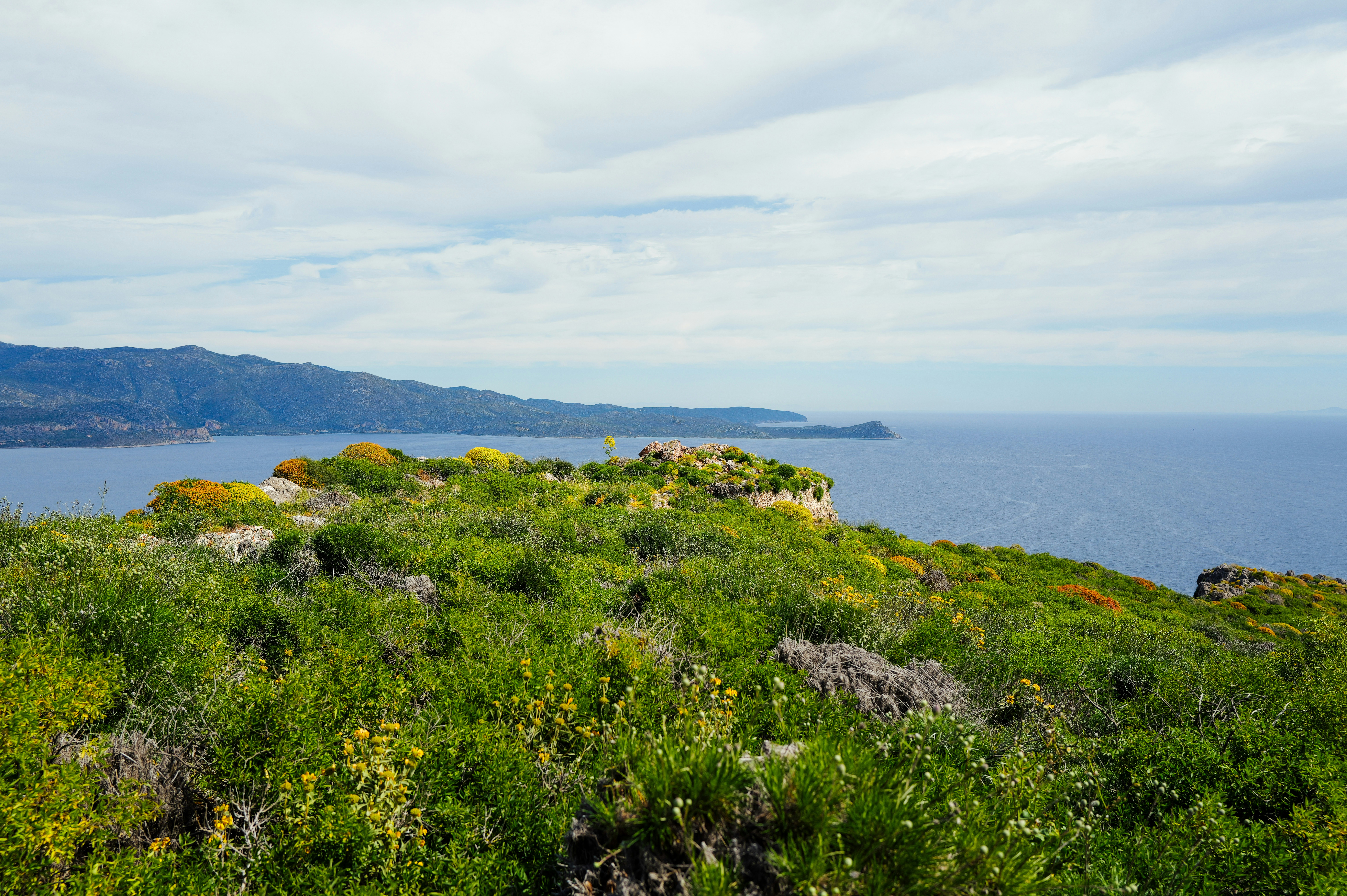 Photo by adrienolichon