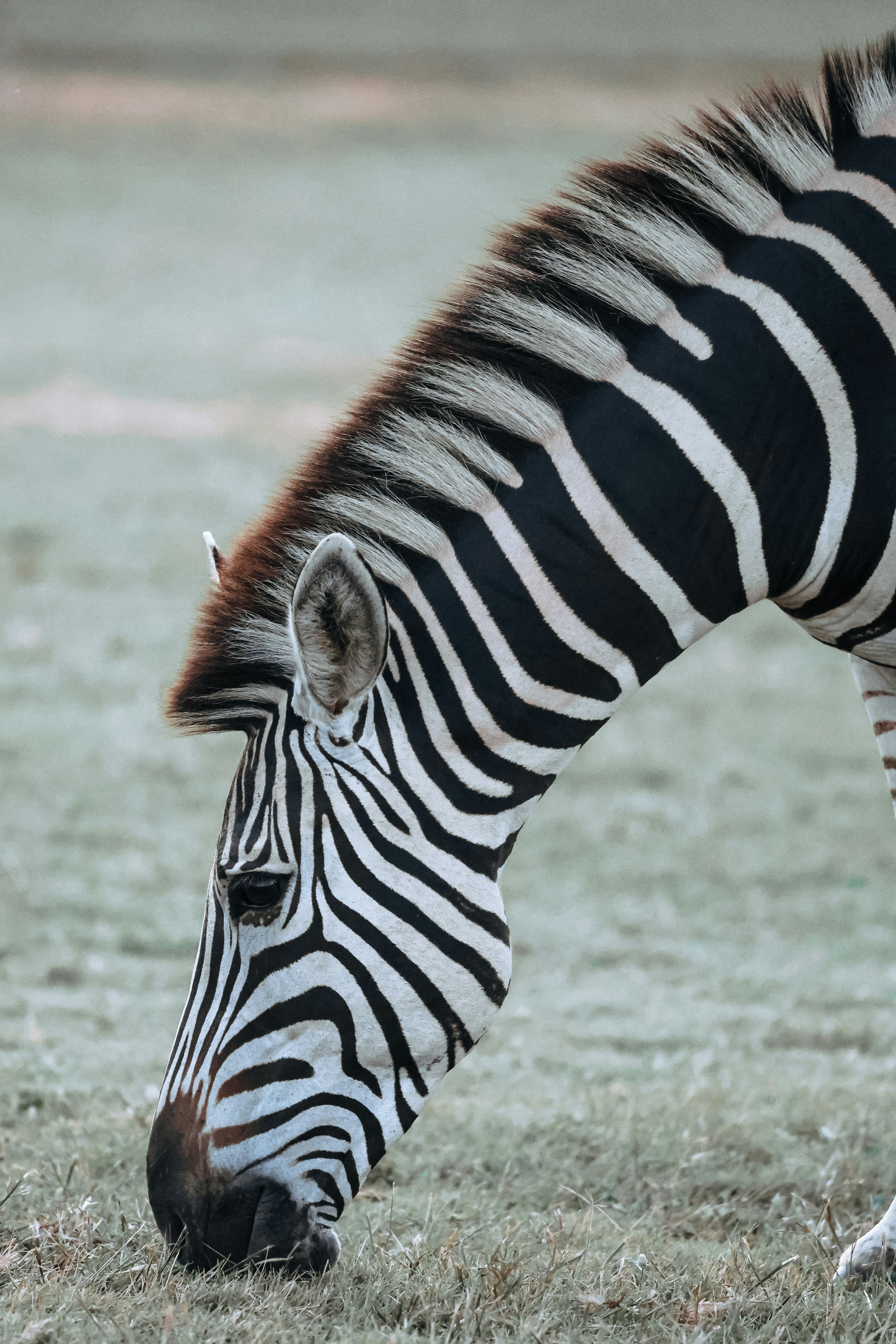 Photo by amandaswanepoel