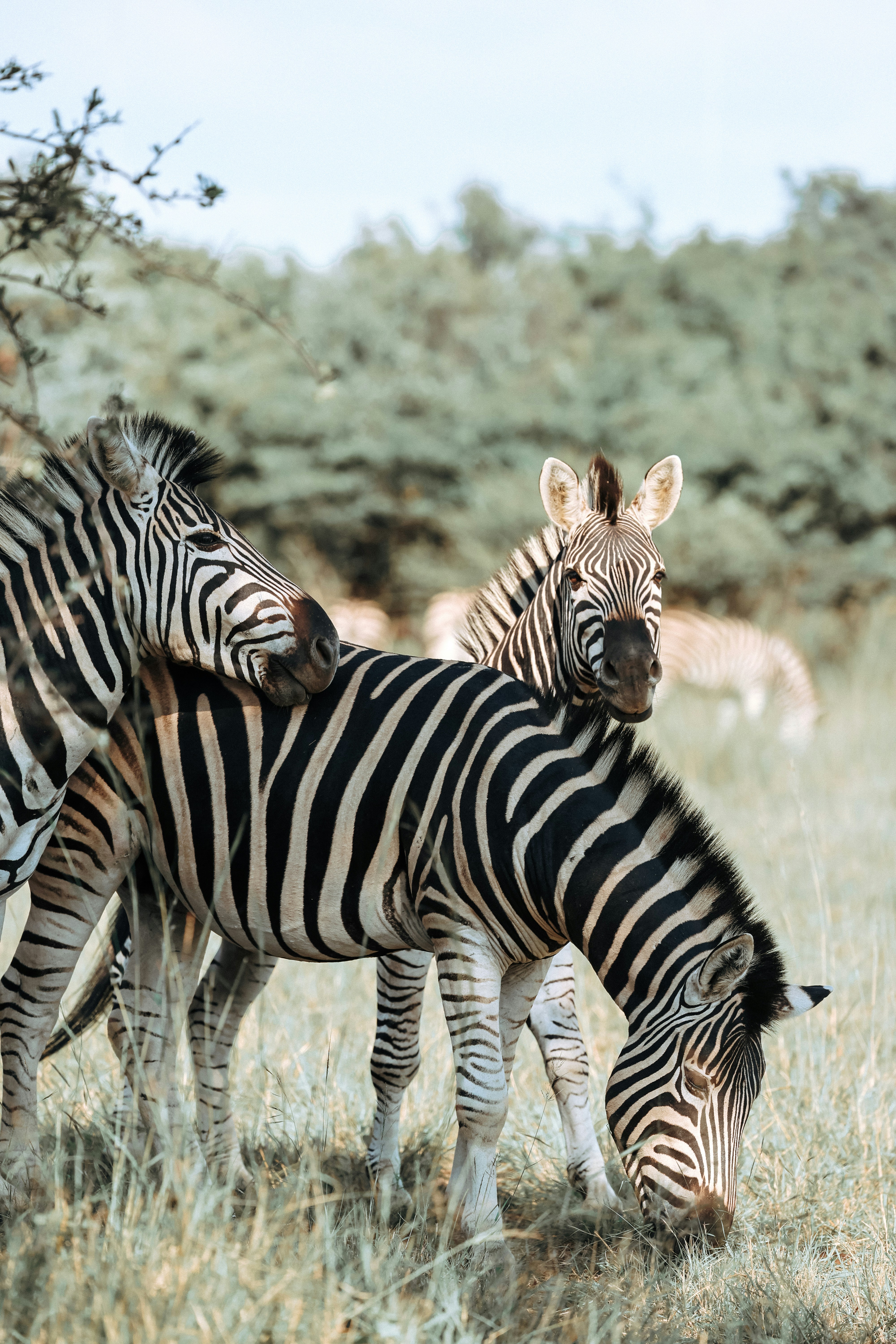 Photo by amandaswanepoel