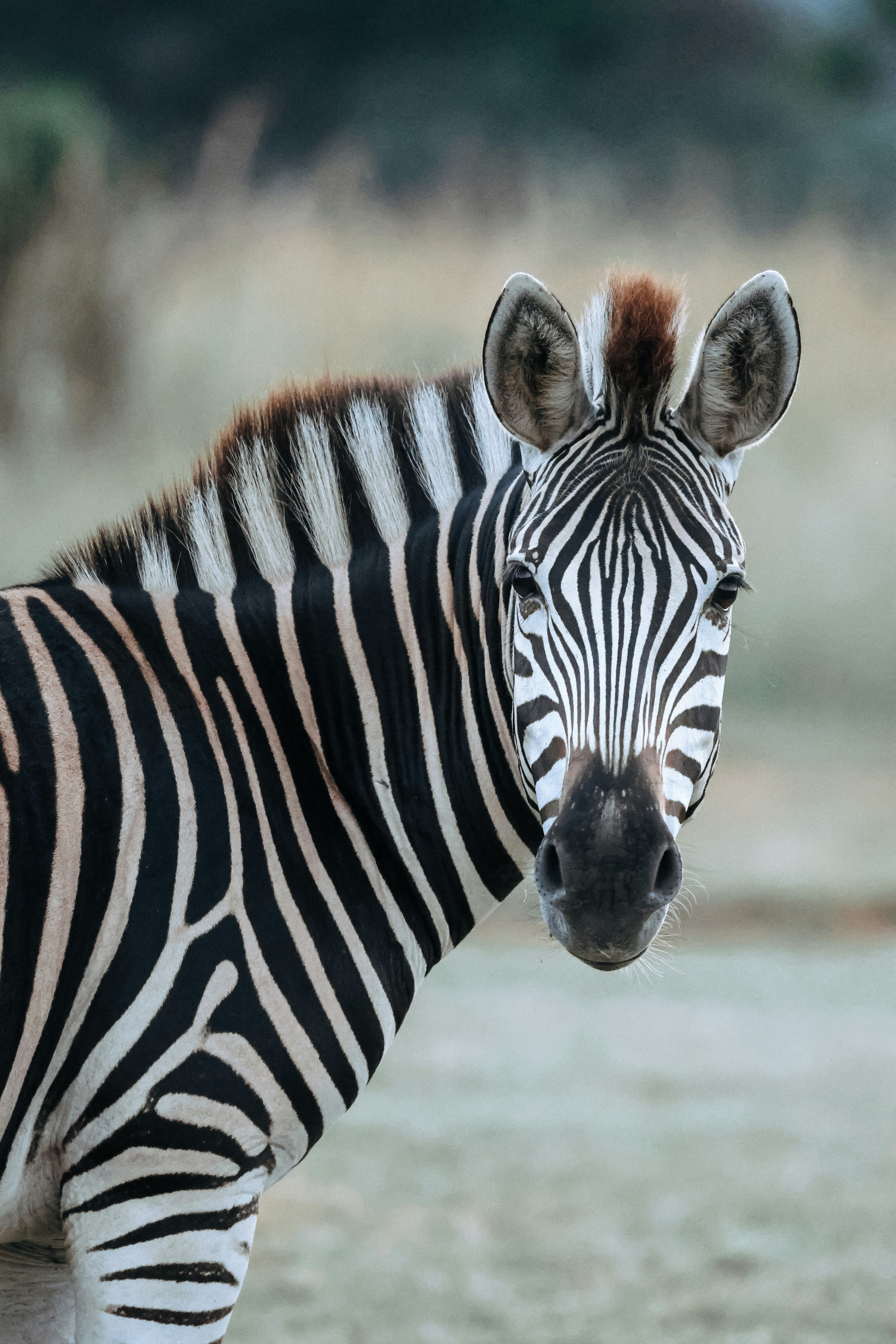 Photo by amandaswanepoel