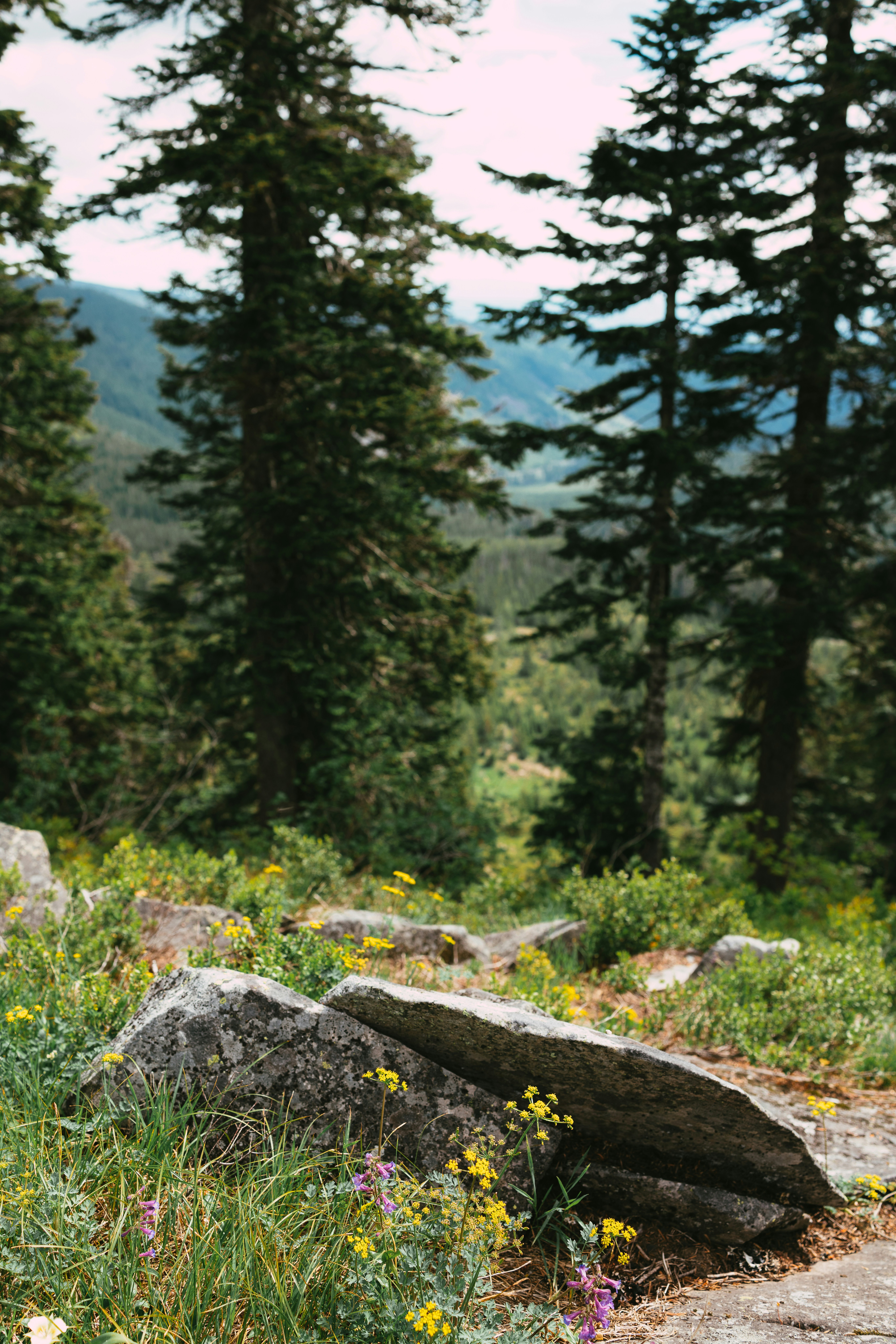 Rocks and trees frame a scenic mountain view.