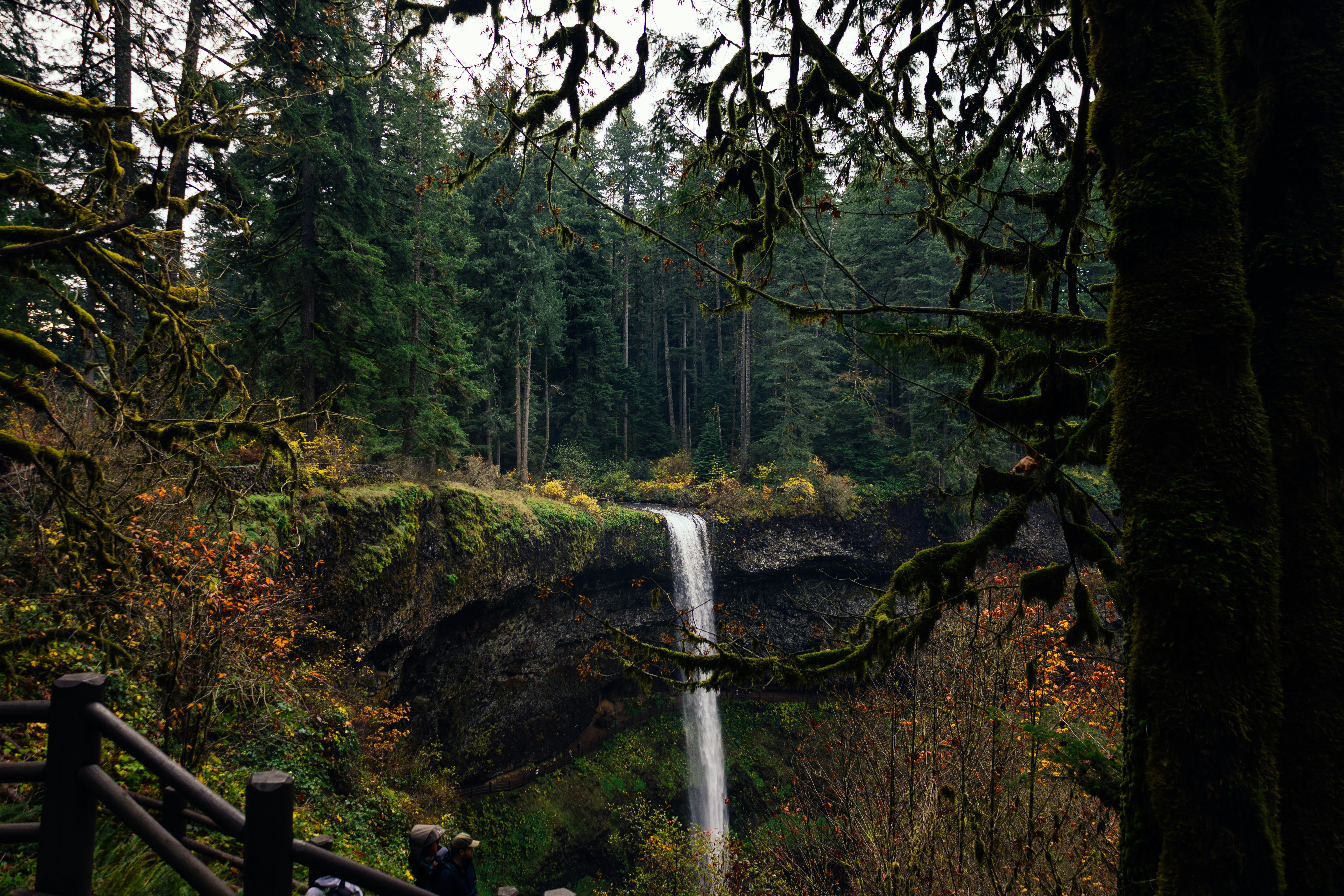 A waterfall cascades into a lush forest.