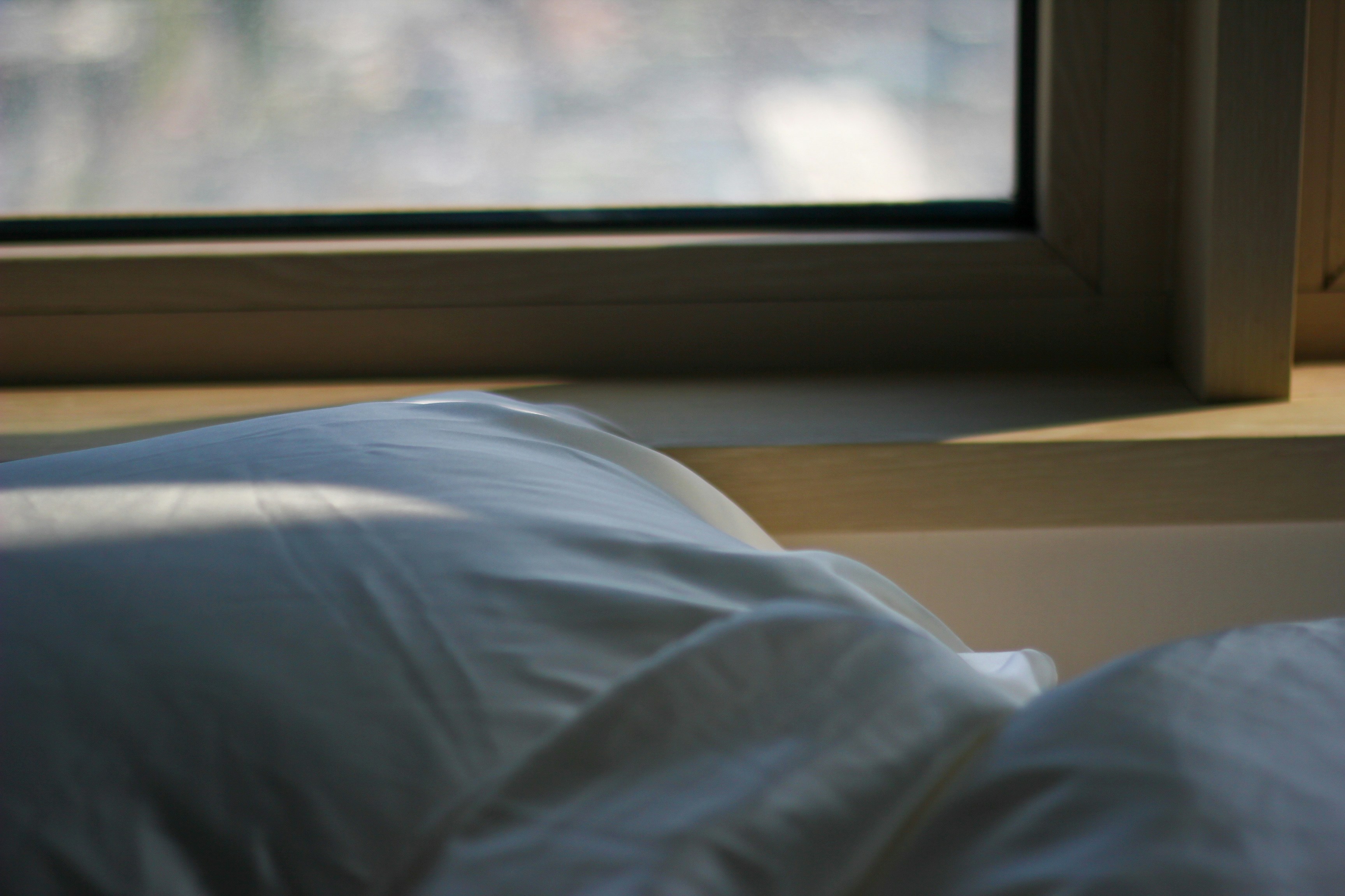 불면증 개선에 도움된다는 디시 추천 수면 영양제 정리