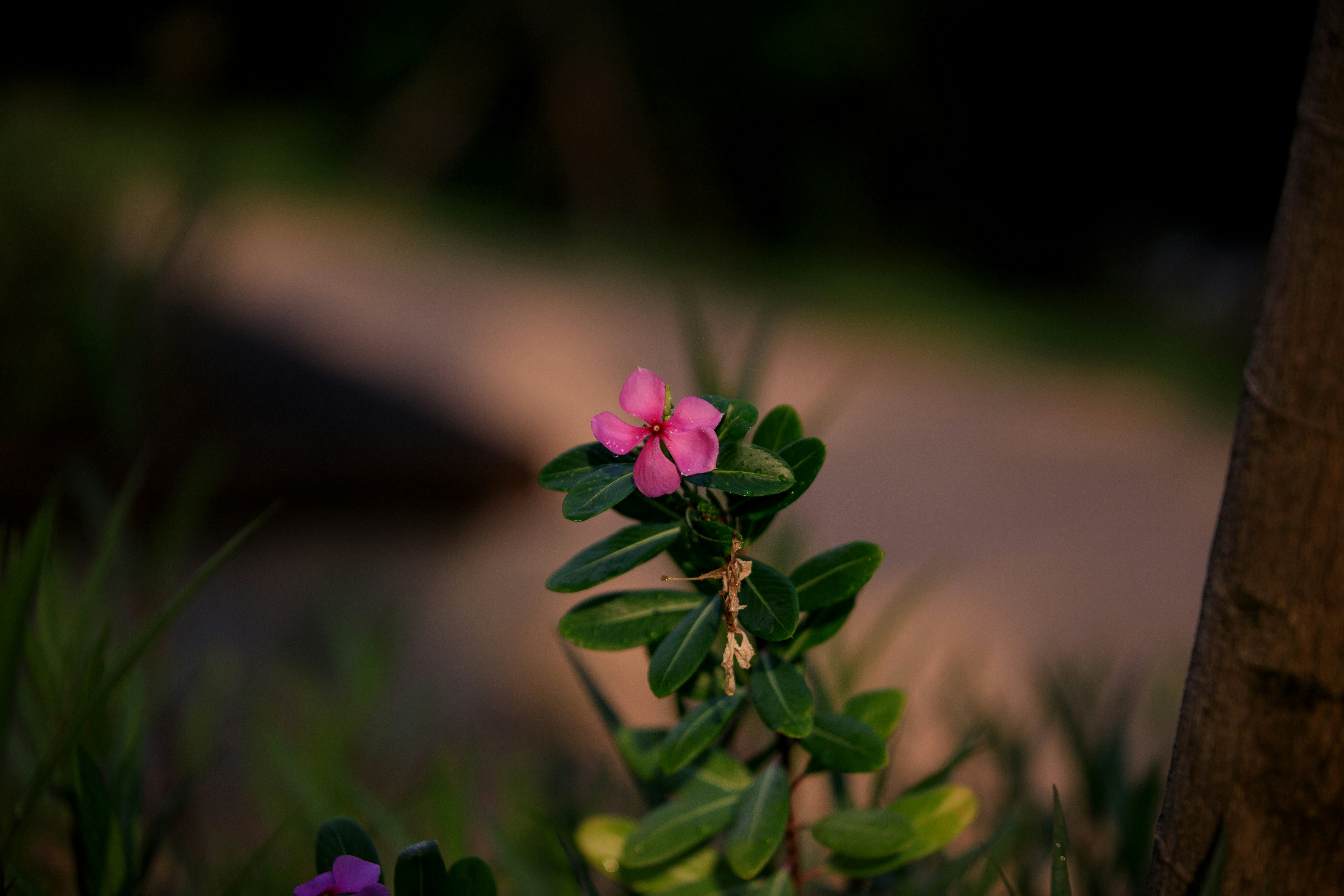 Photo by bright202310