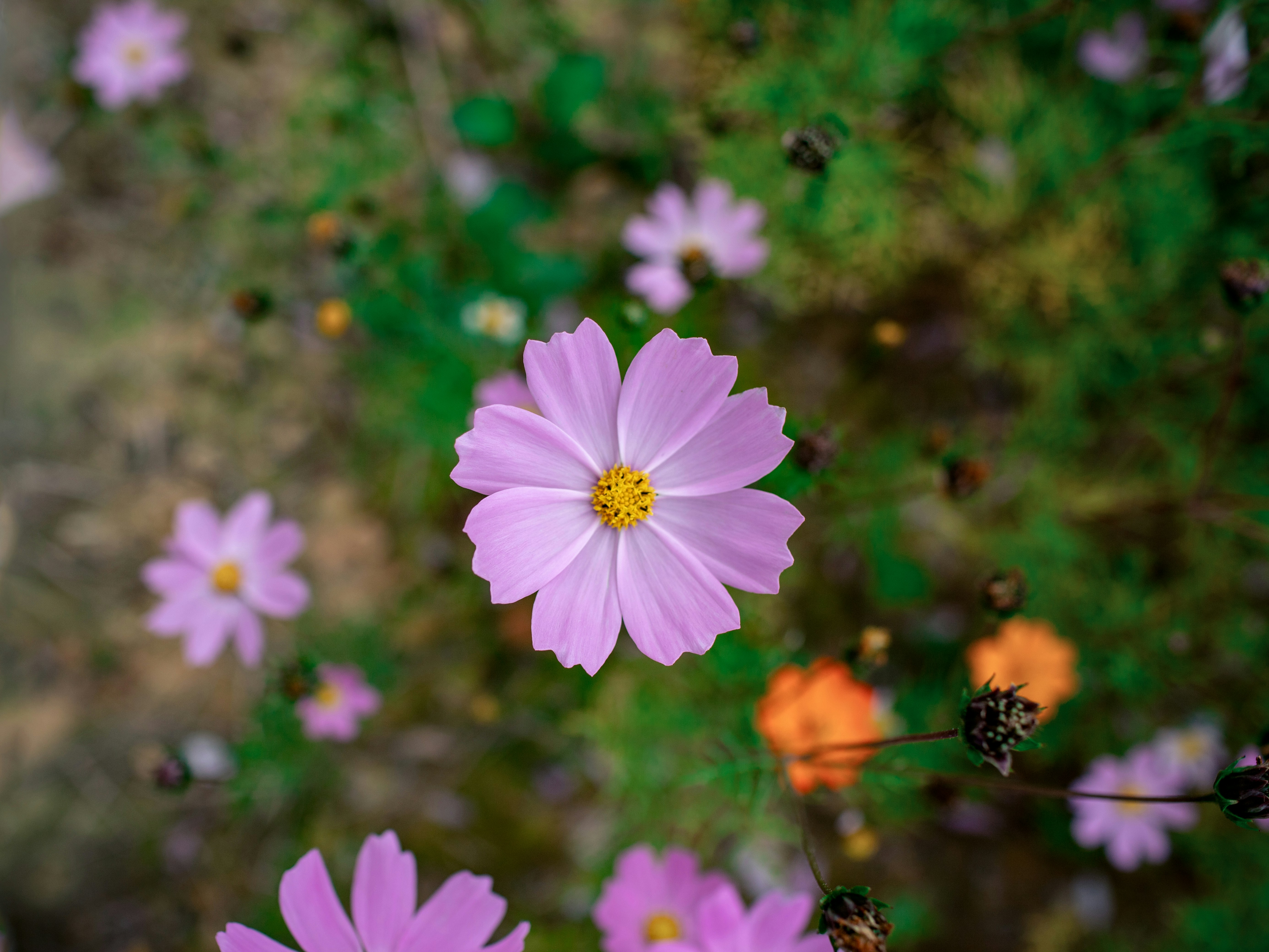 Photo by bright202310