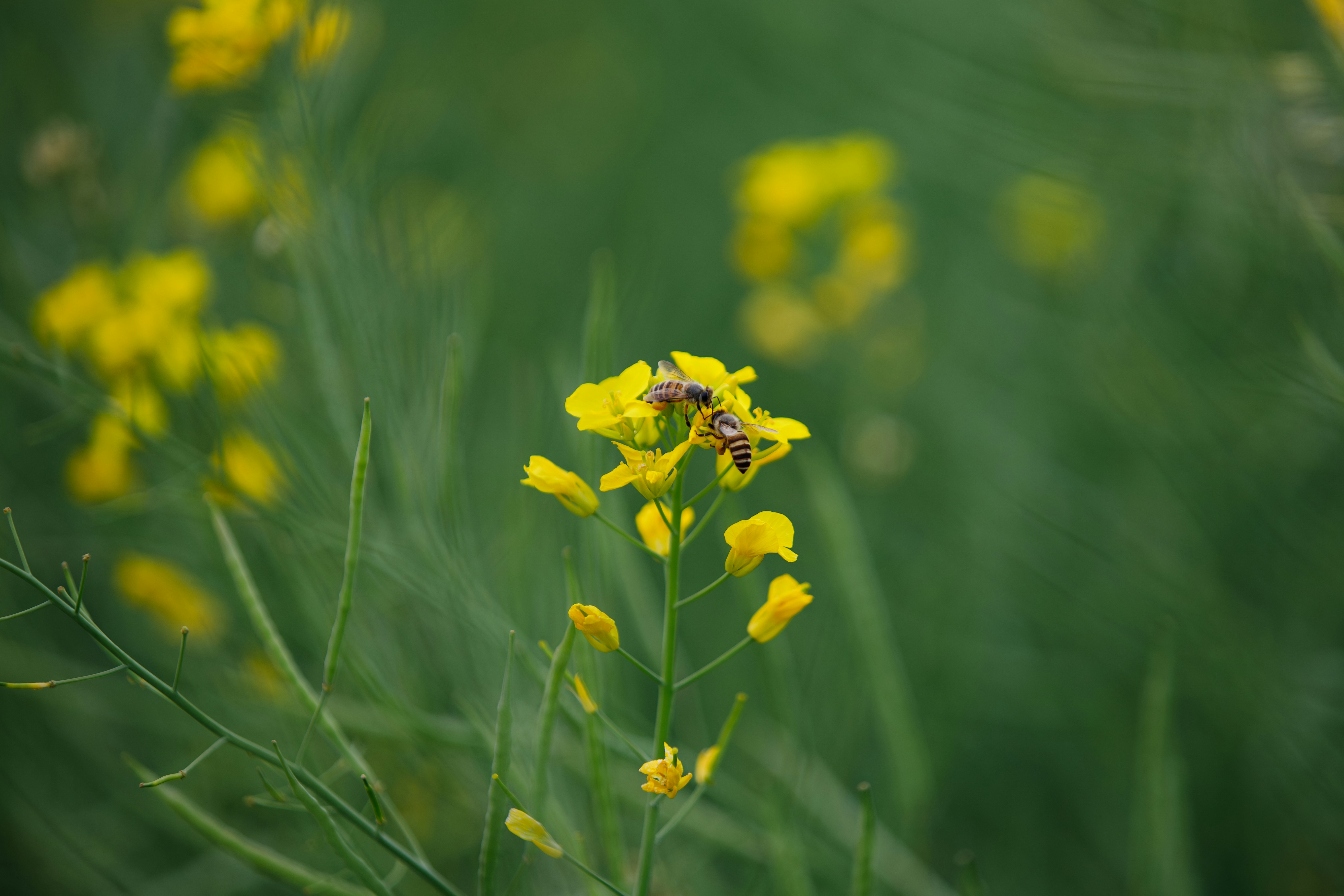 Photo by bright202310