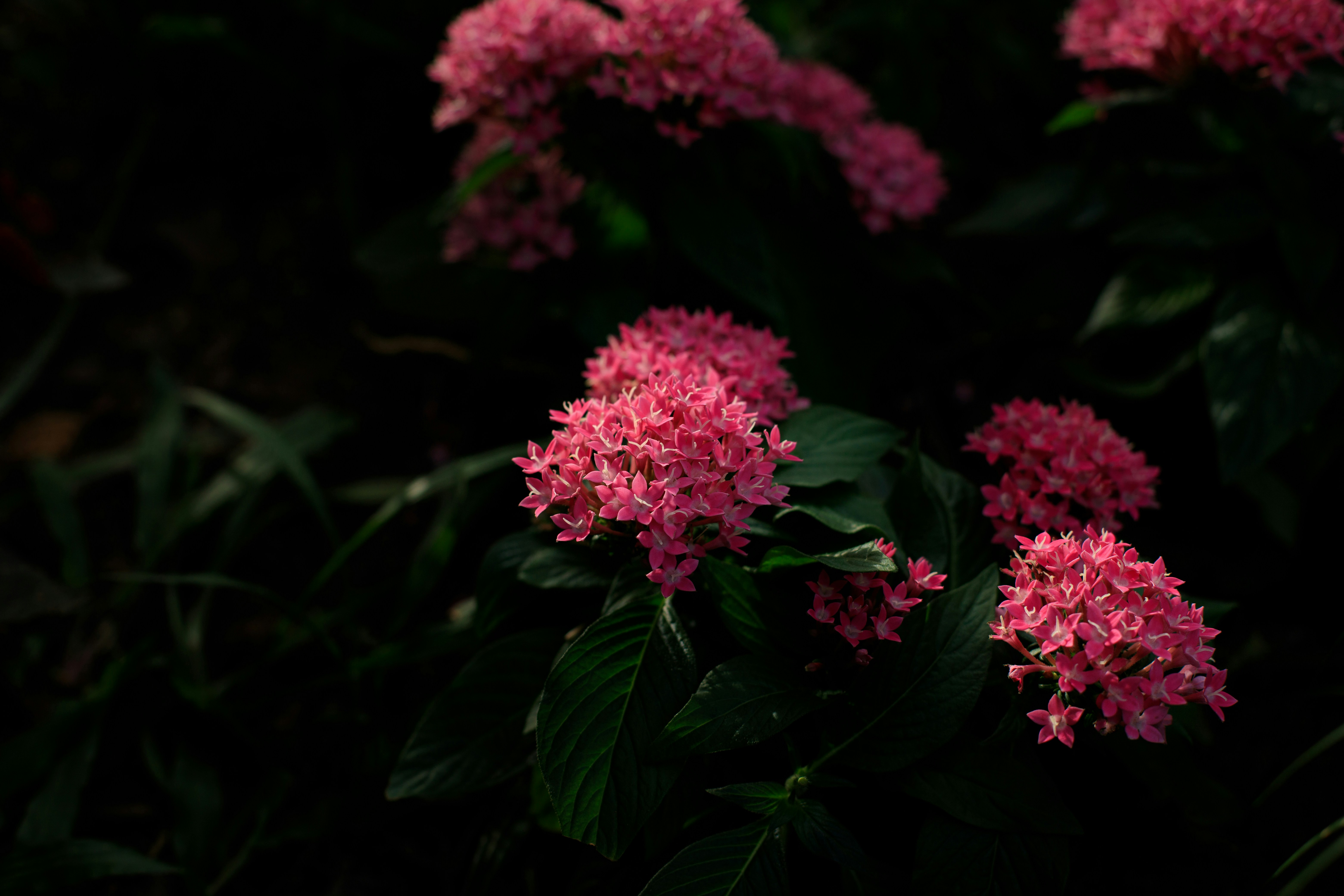 Photo by bright202310