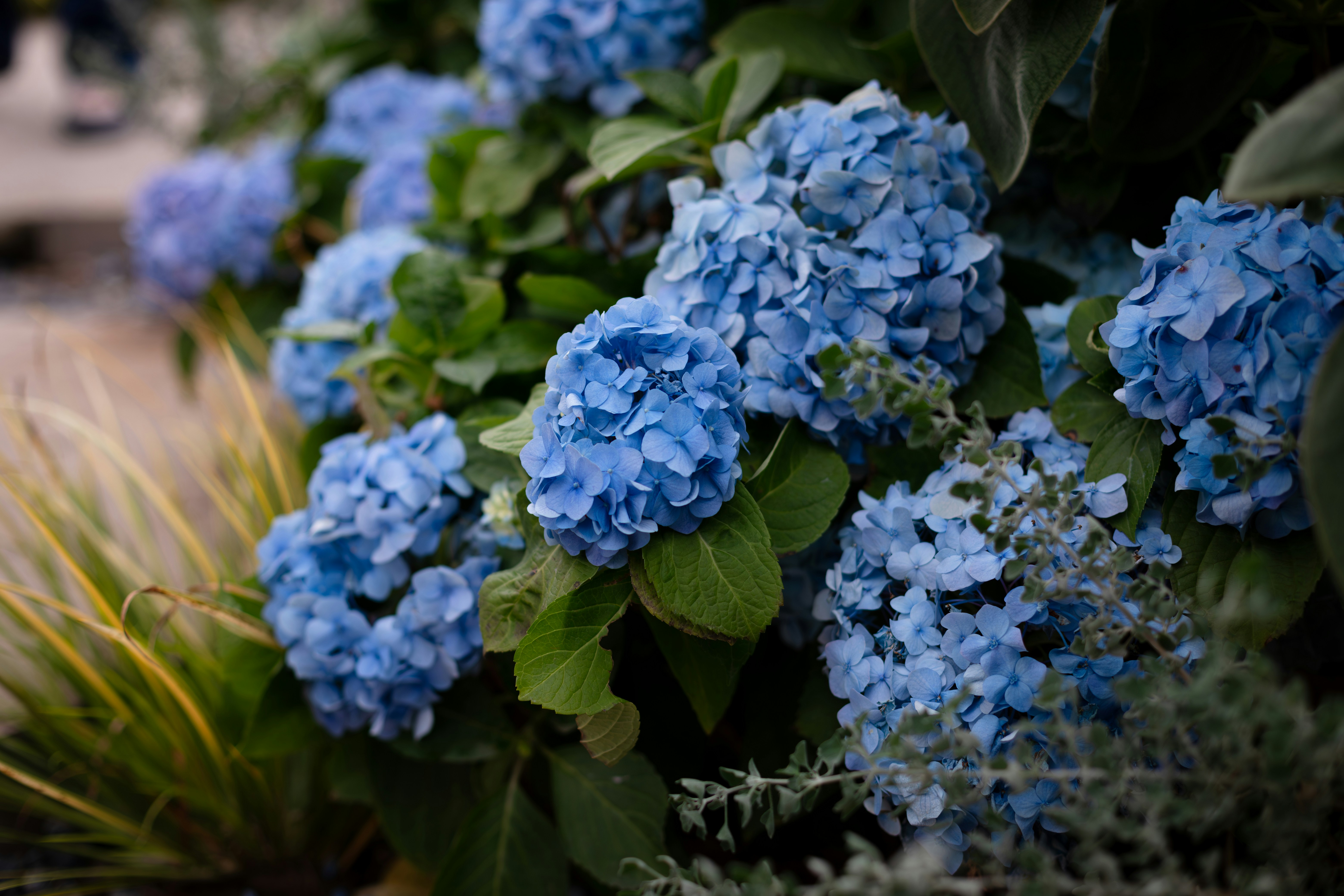 Photo by bright202310