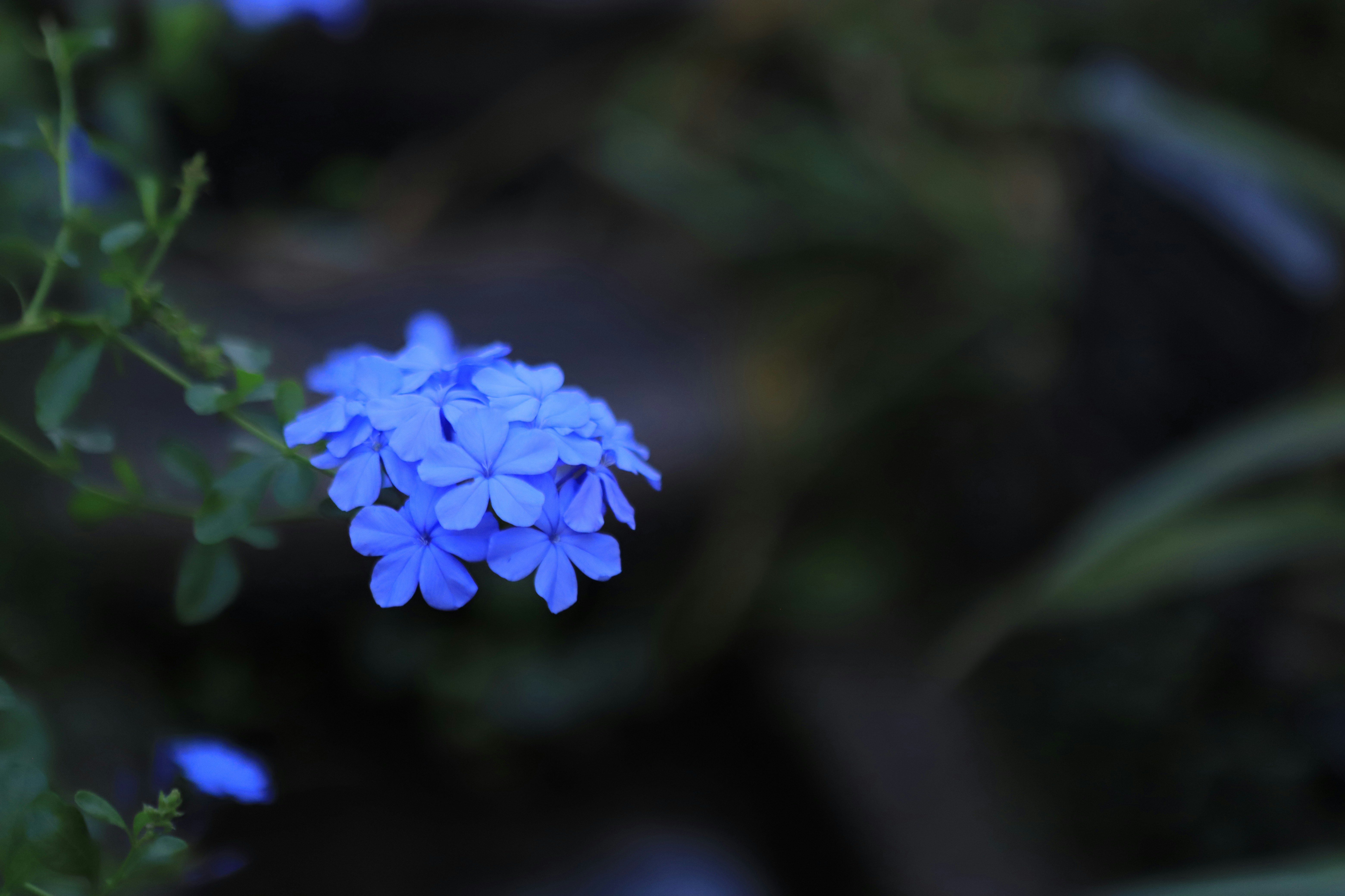 Photo by bright202310