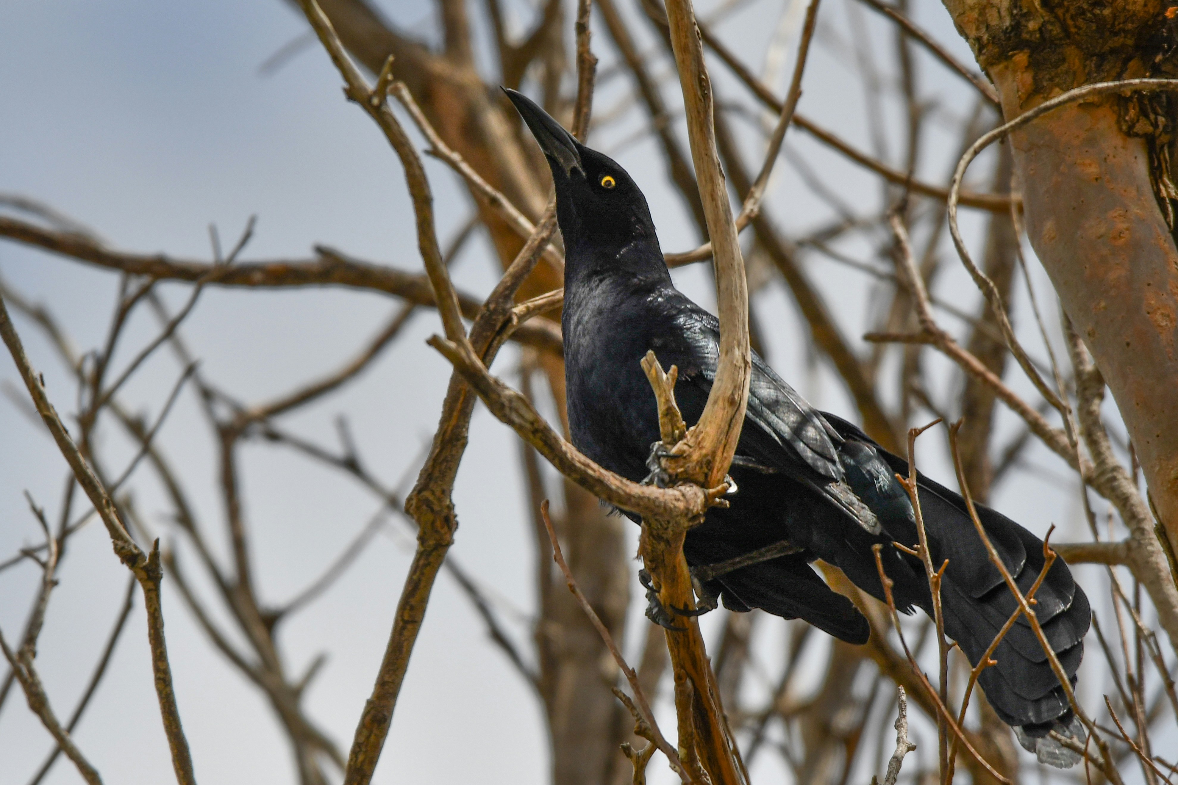 Photo by elisastonephotography