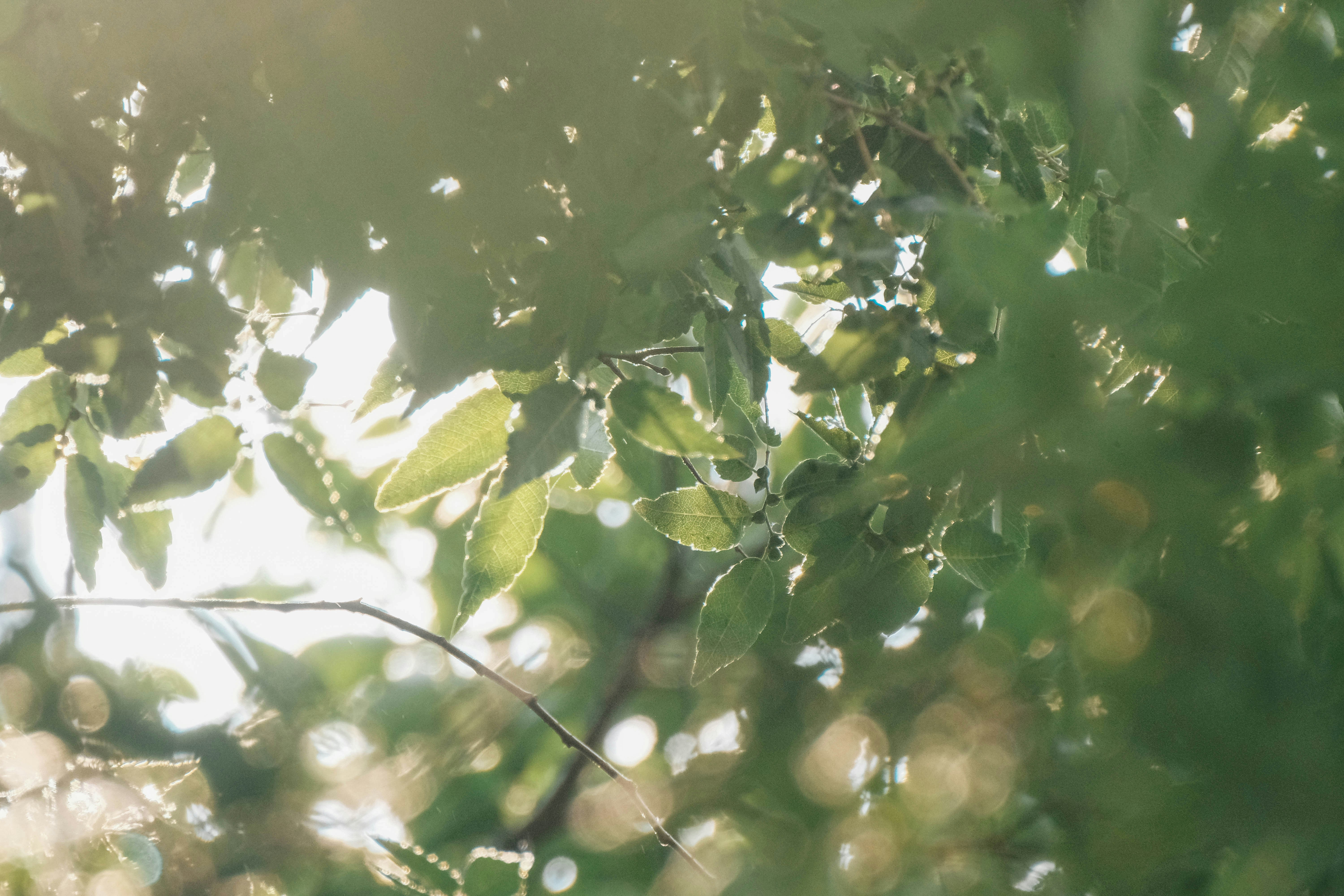 Photo by insungpandora