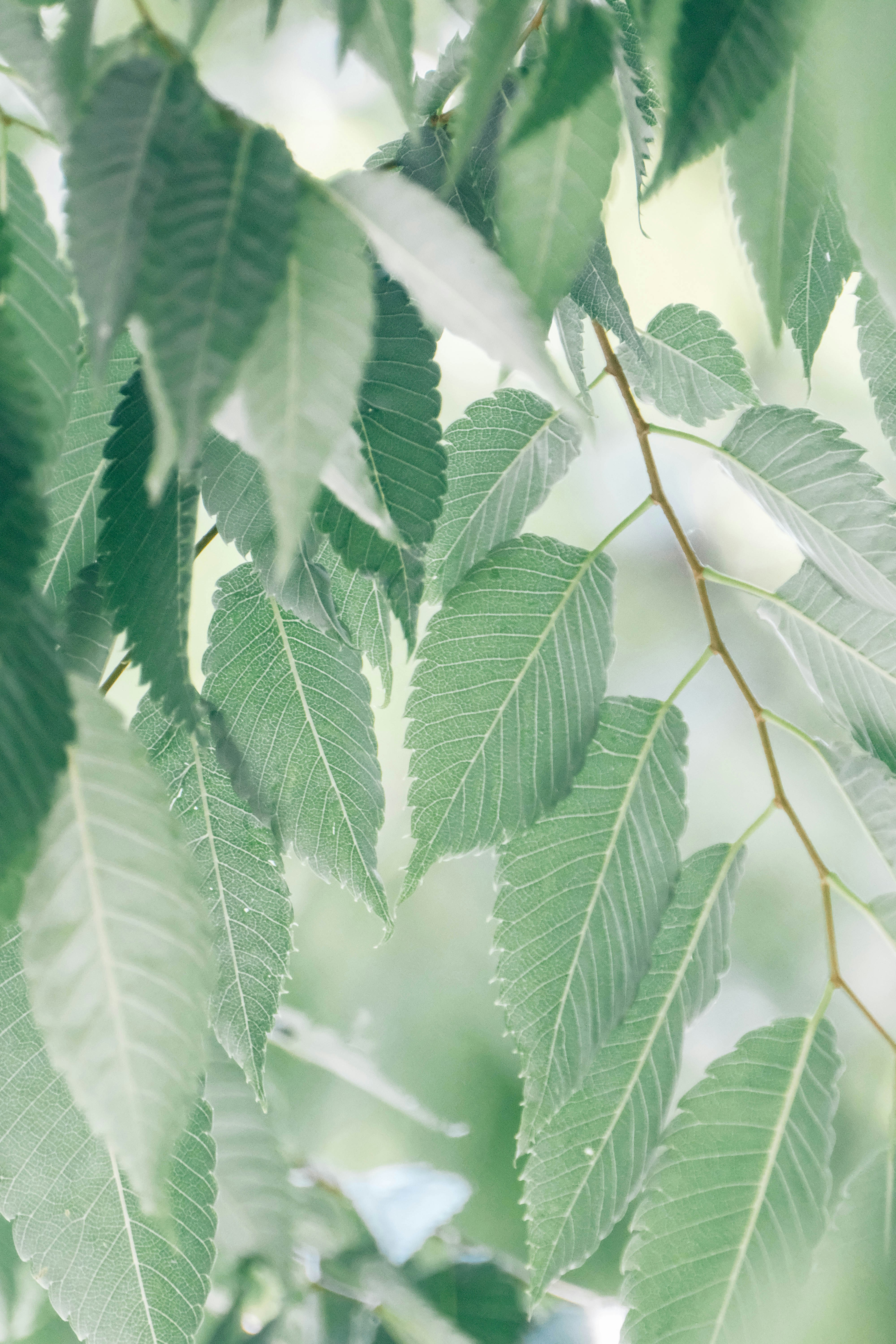 Photo by insungpandora