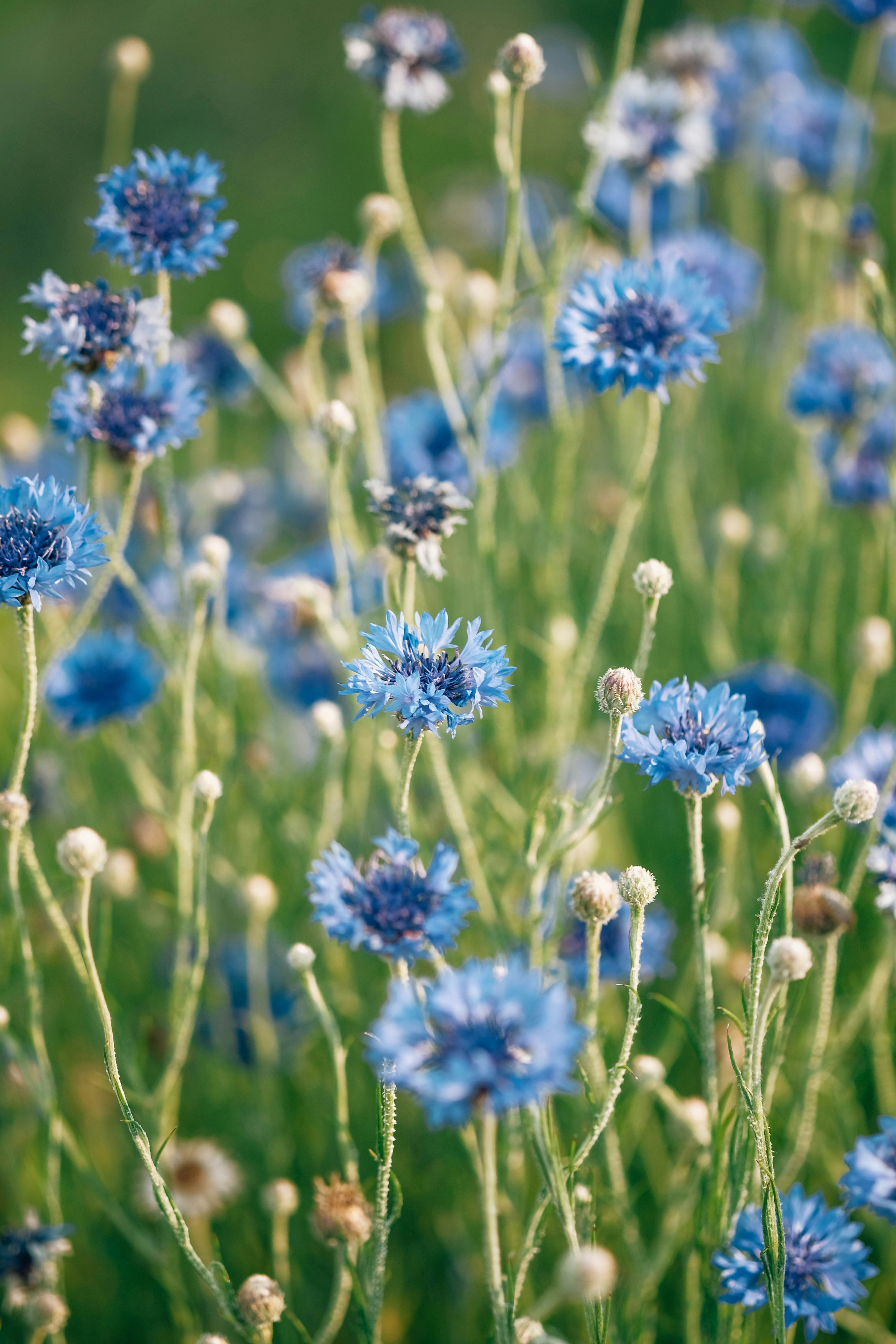 Photo by insungpandora