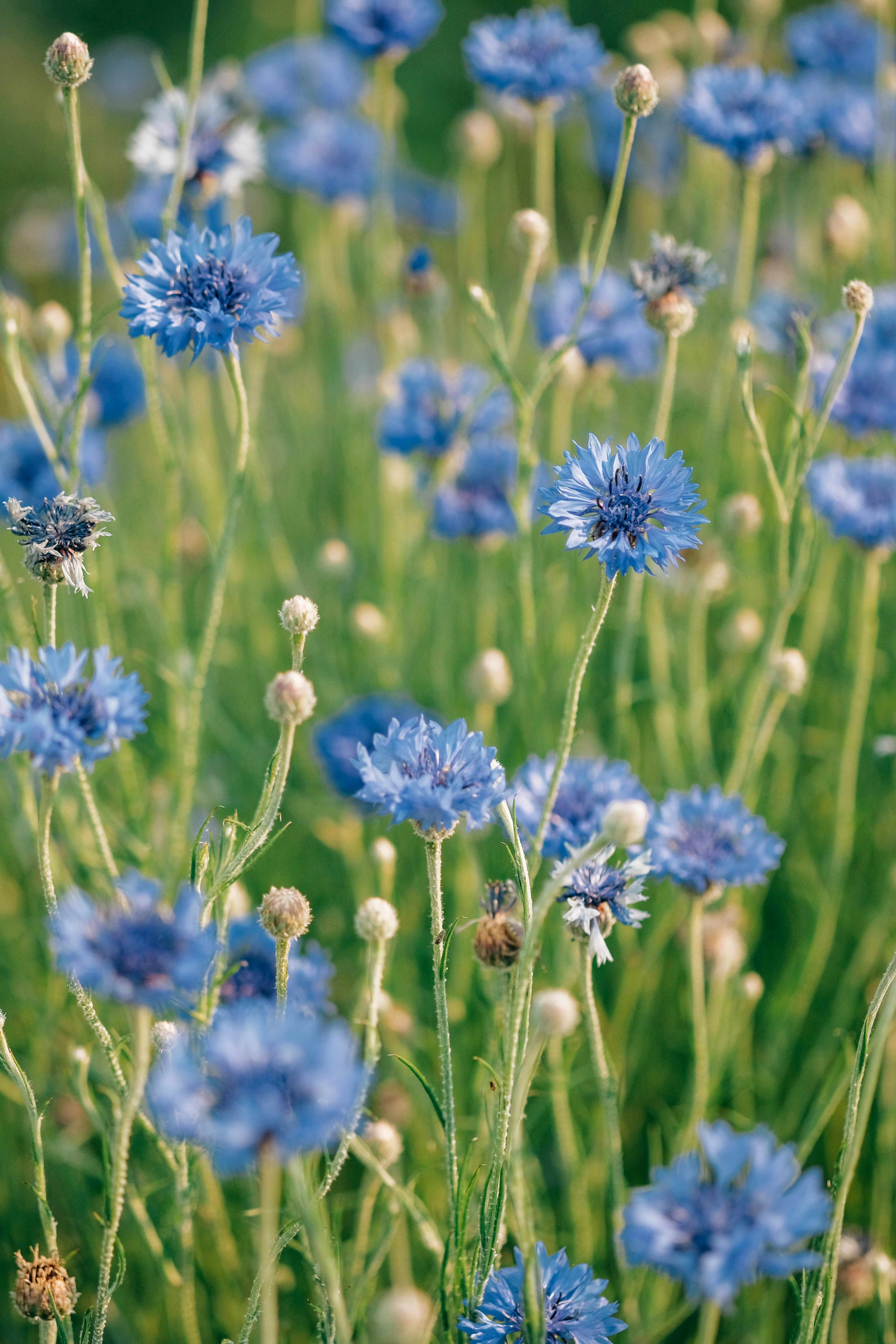 Photo by insungpandora