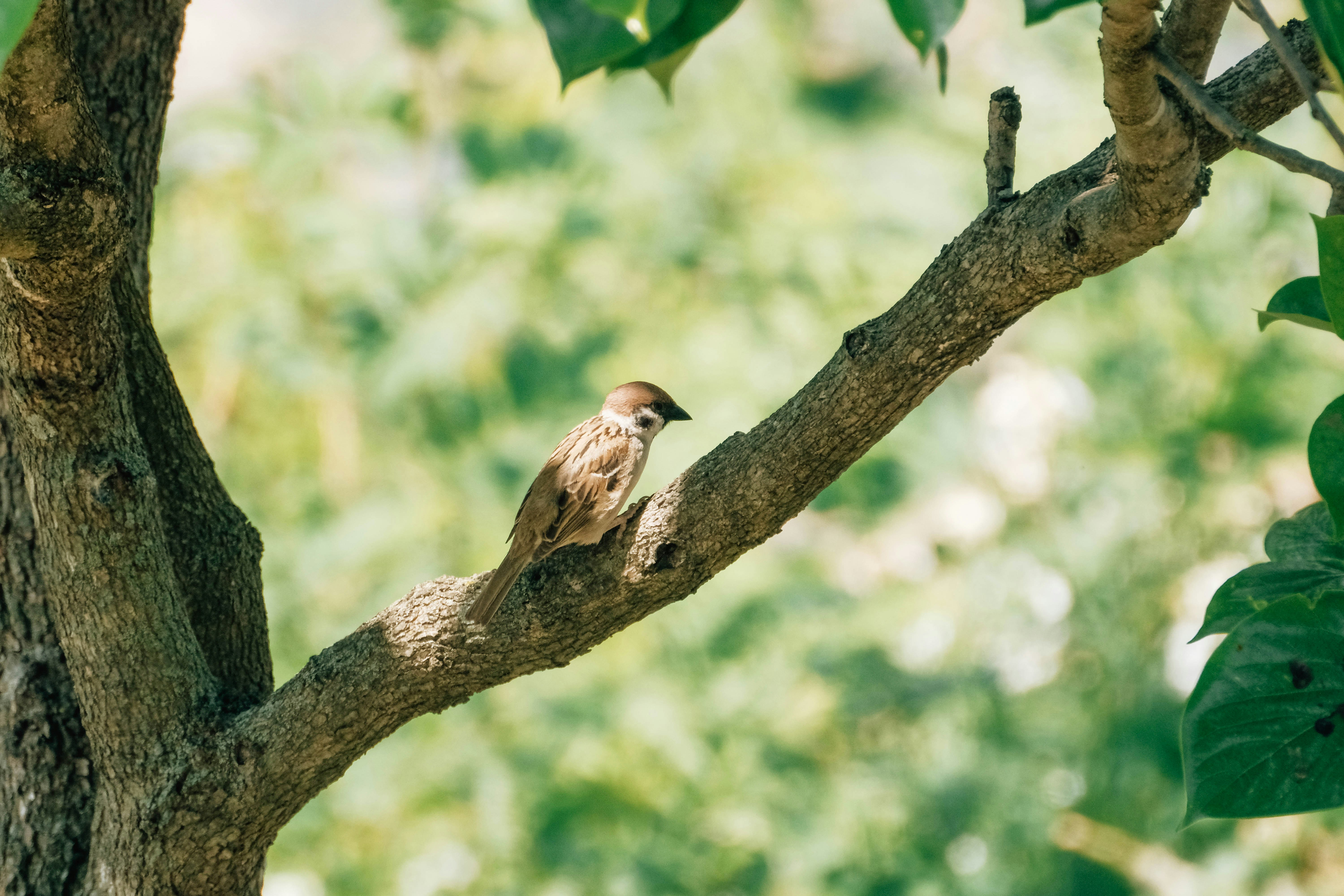 Photo by insungpandora