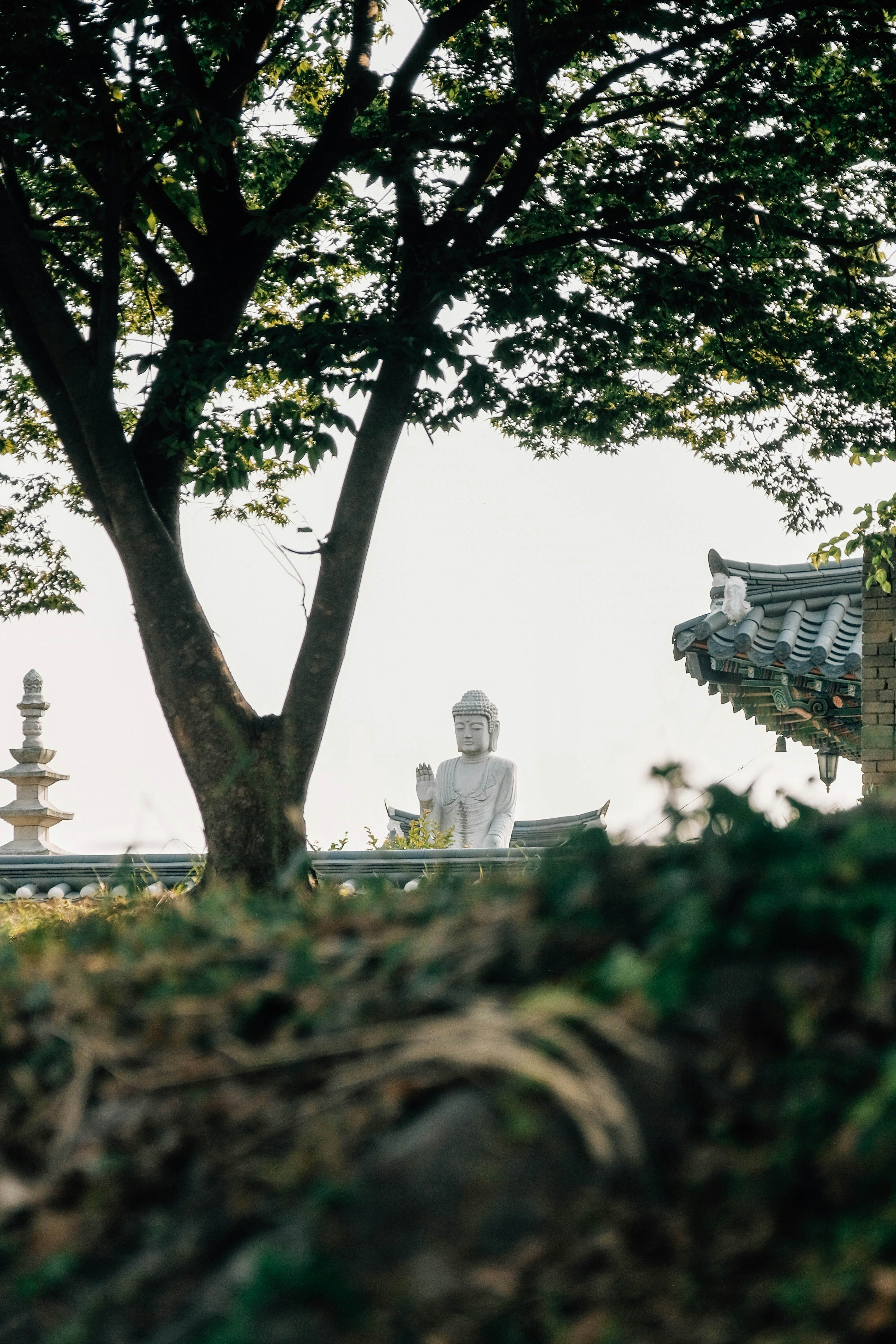 Photo by insungpandora