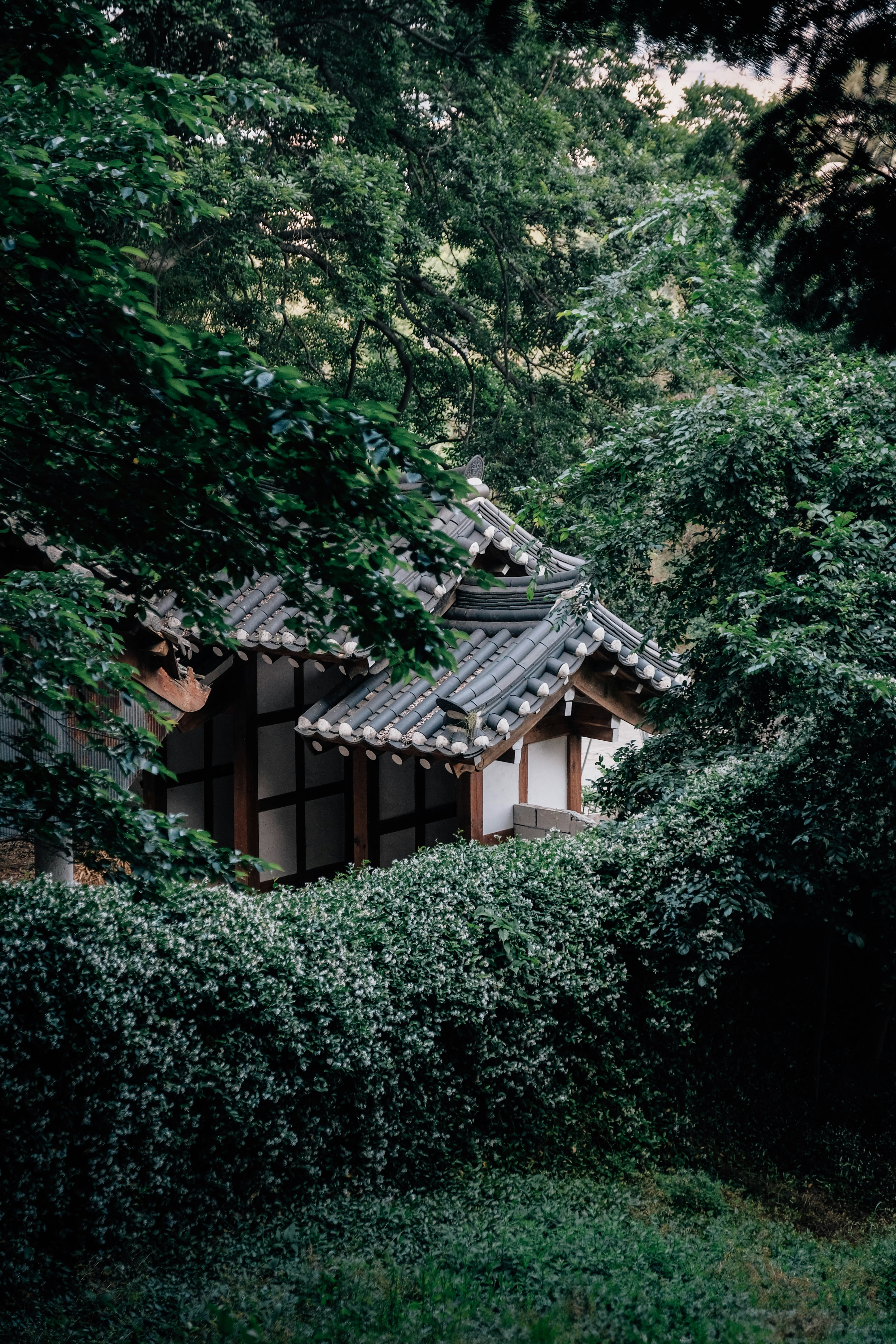 Photo by insungpandora