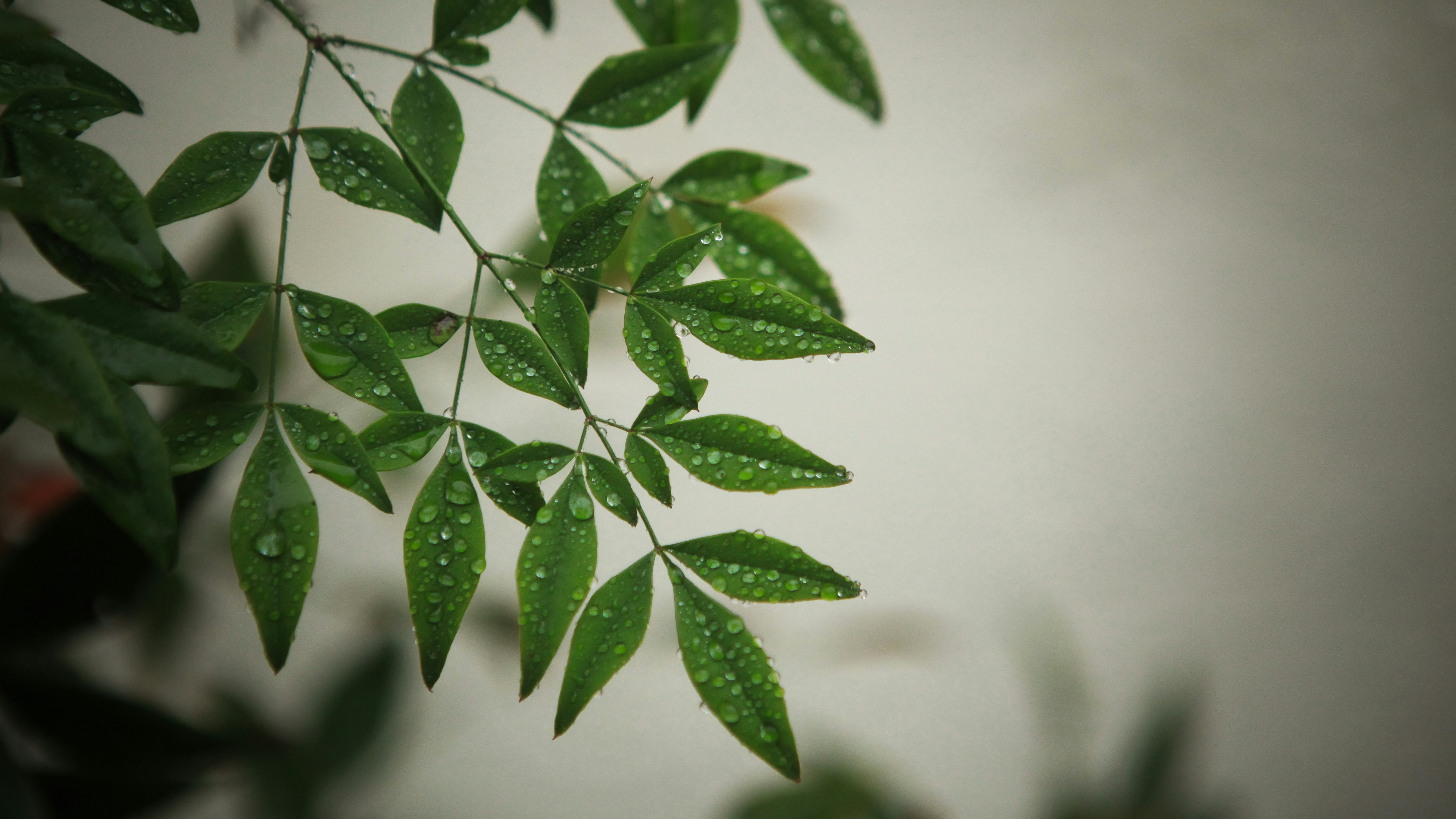 Photo by aurora_original