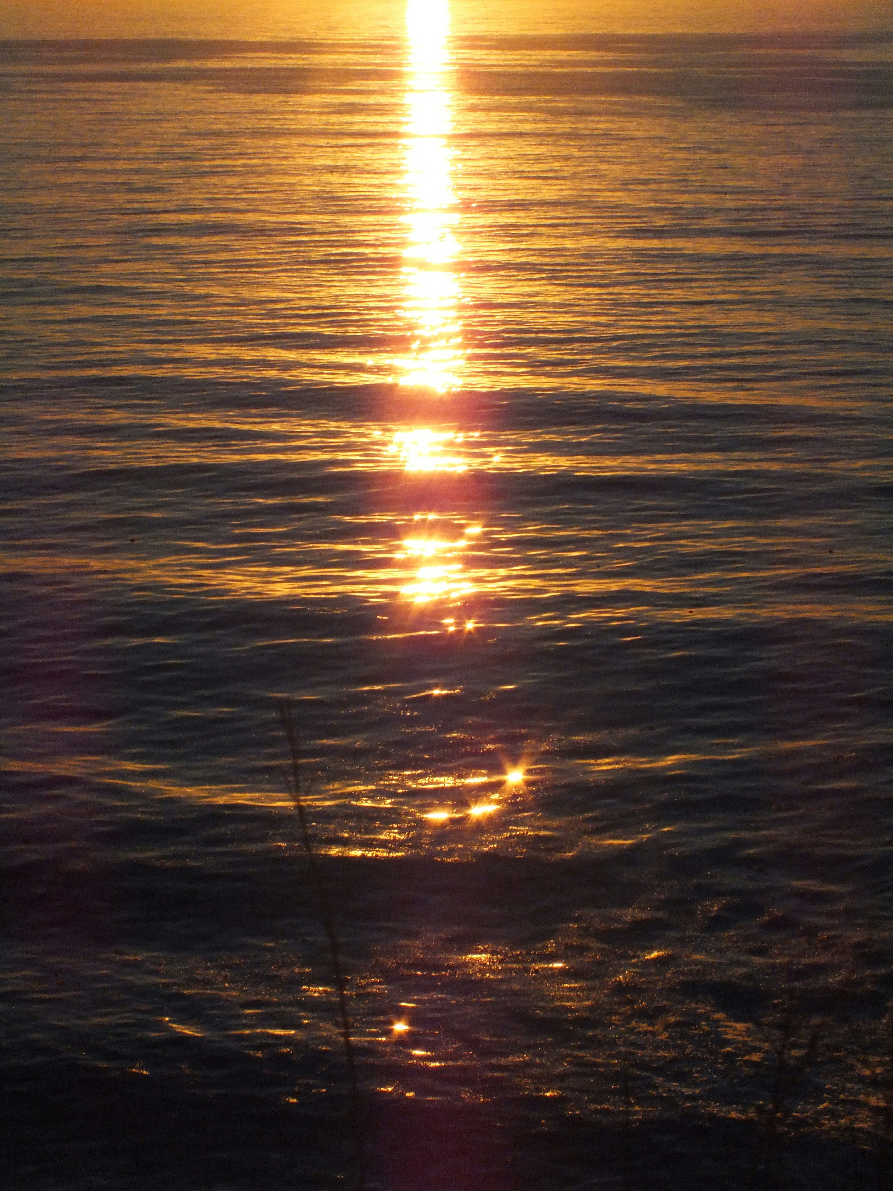 Photo by aurora_original