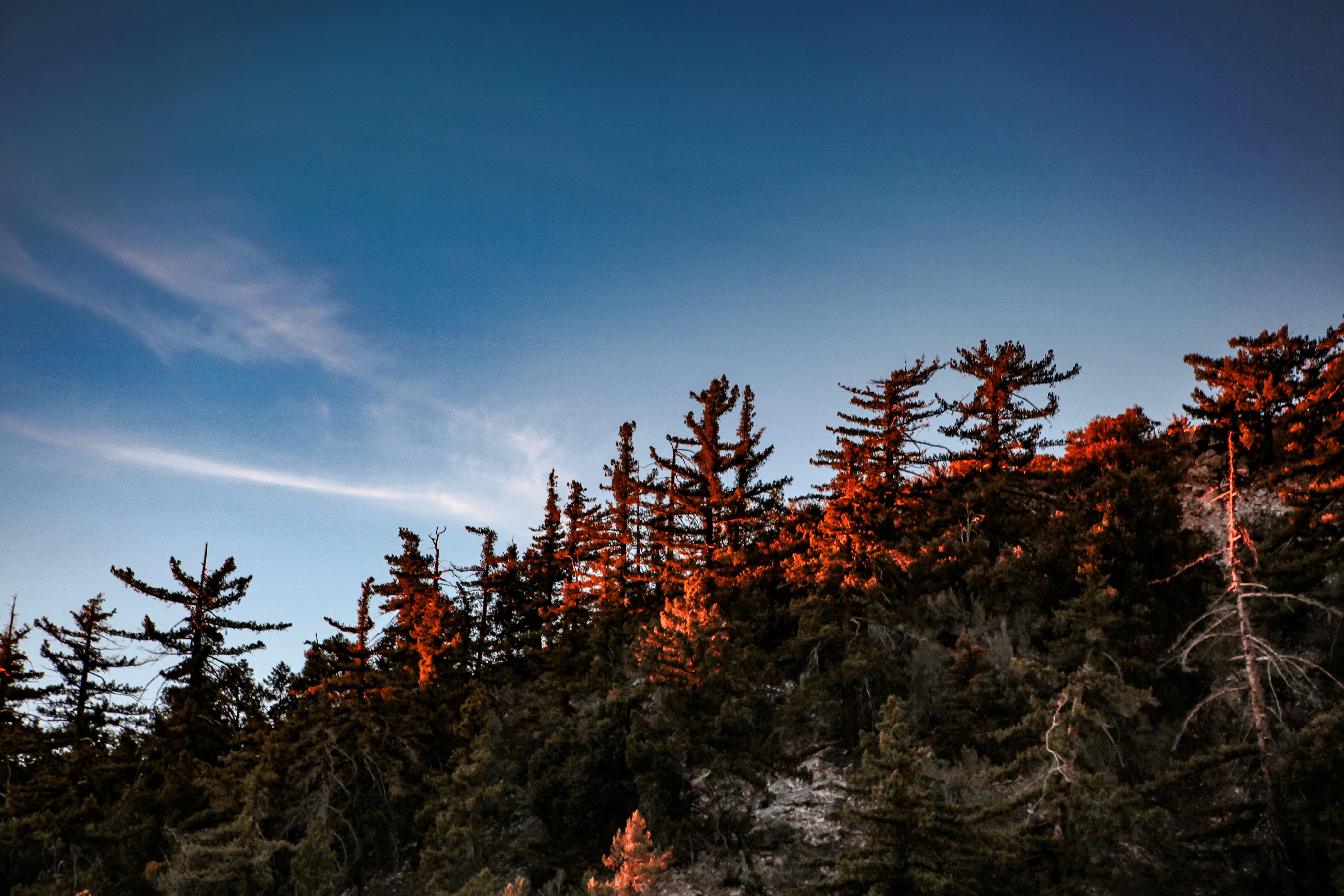 Photo by aurora_original