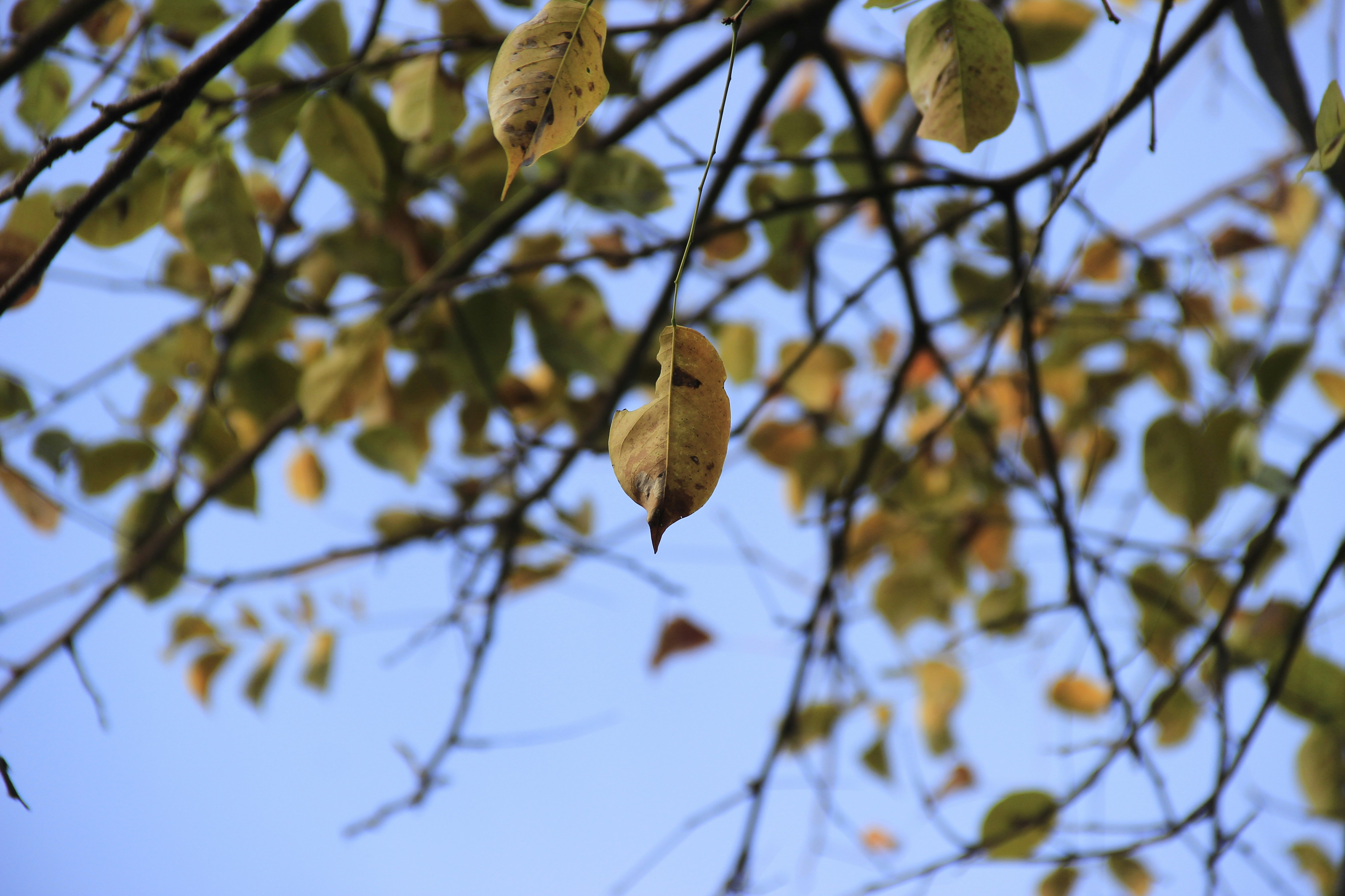 Photo by amperiano_y