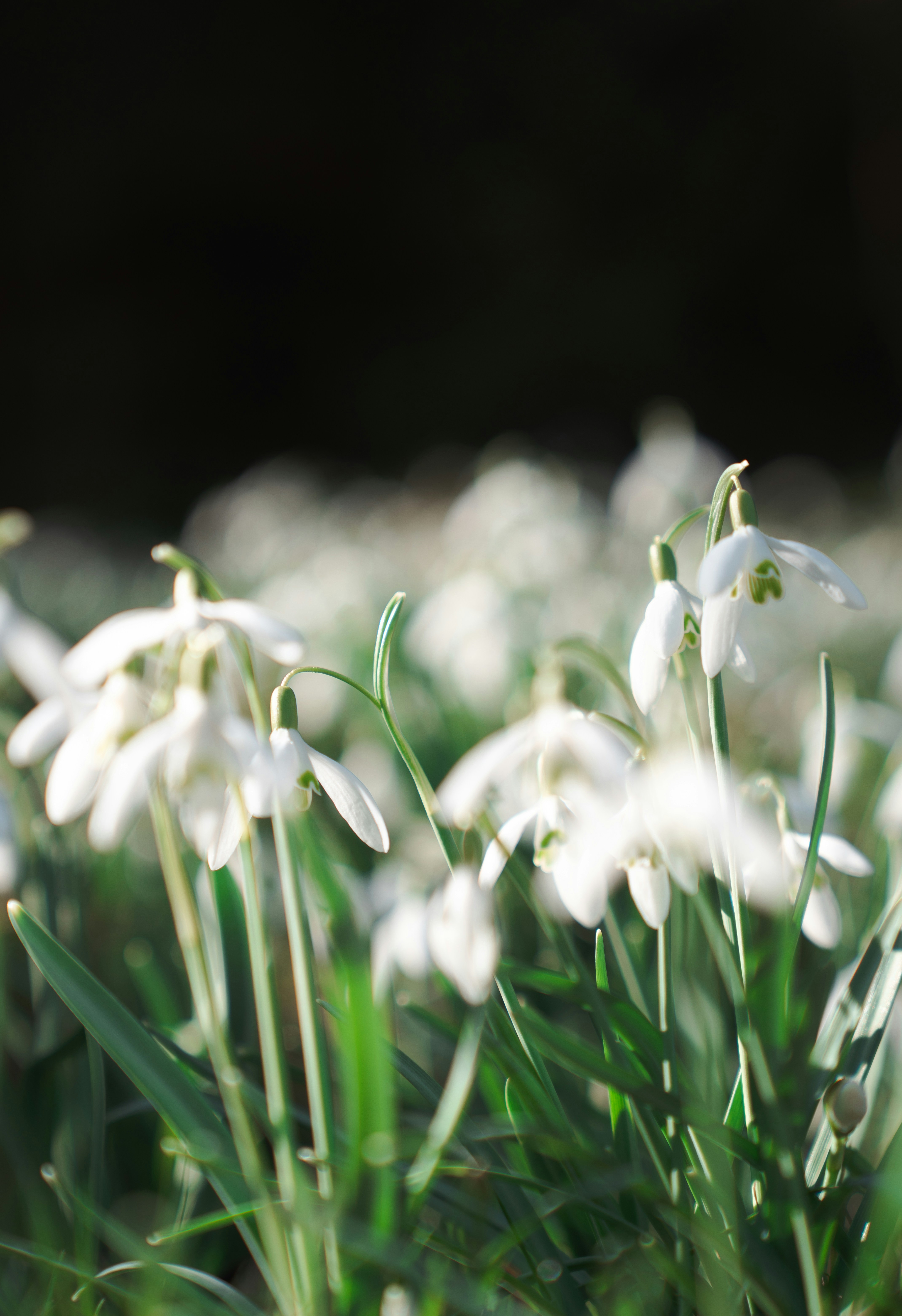 Photo by elisabeth_rausch