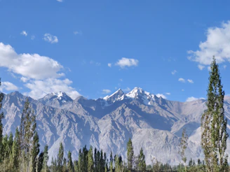 Snowy mountains rise under a bright blue sky.