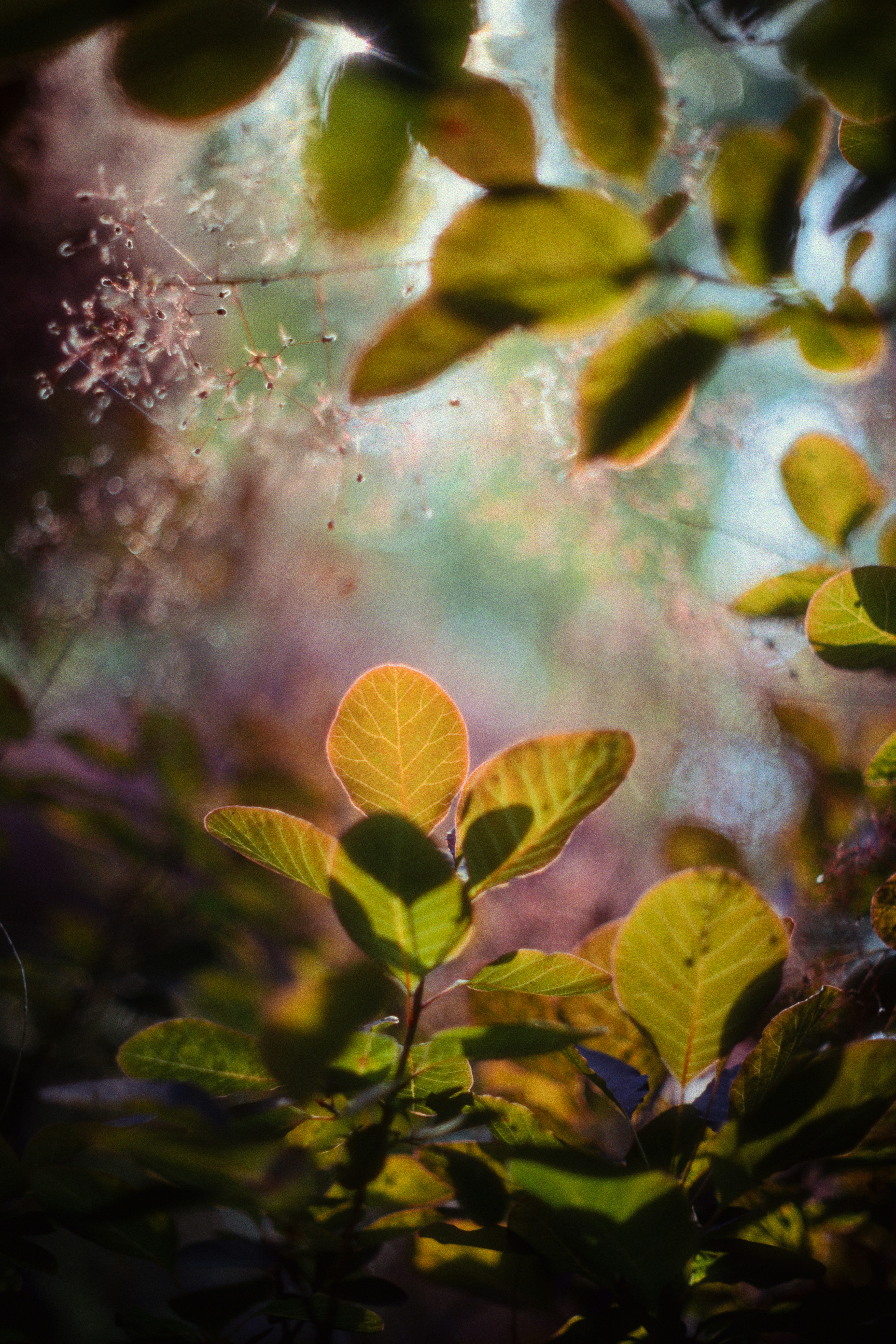Photo by ninjason