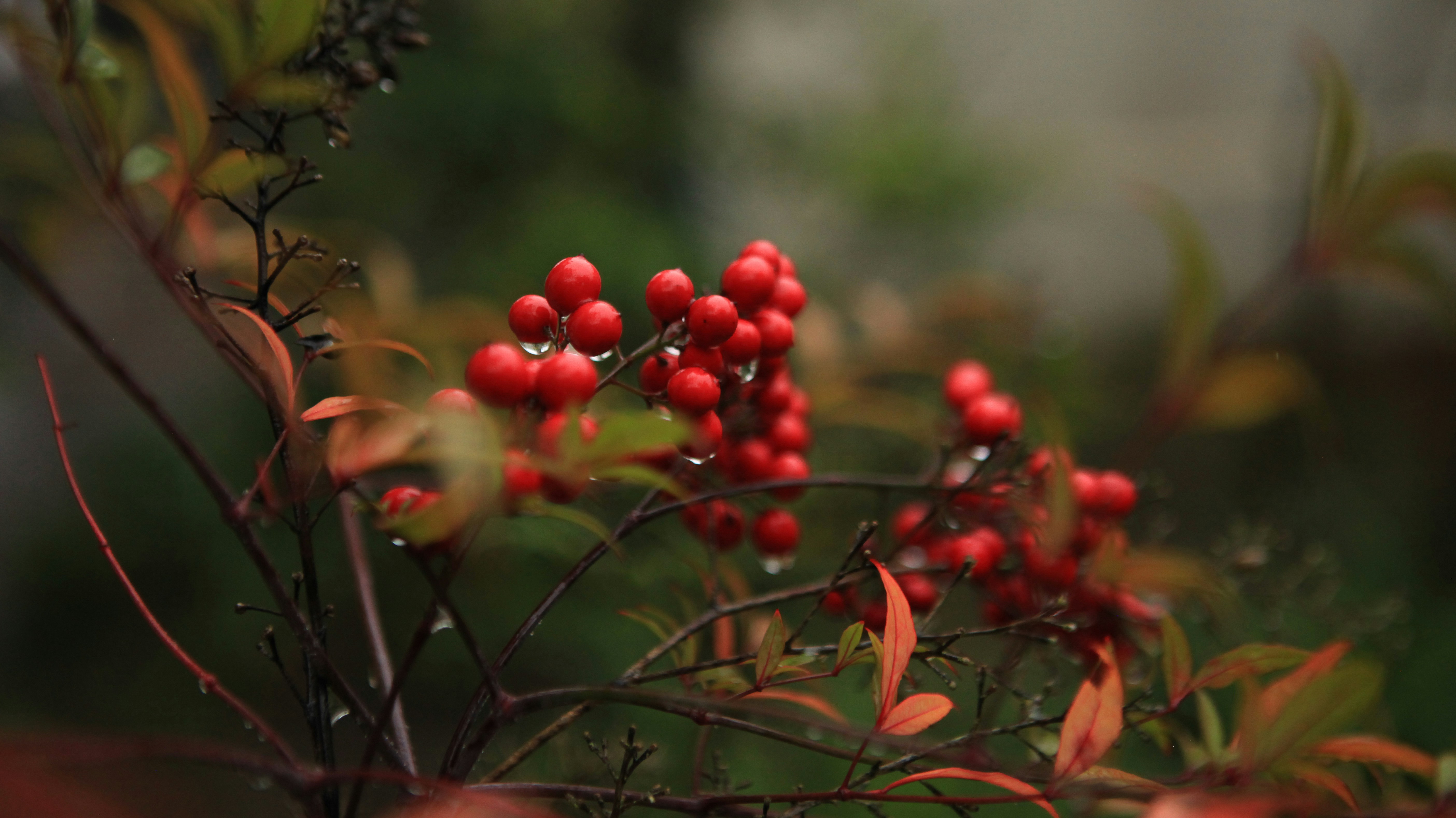 Photo by aurora_original