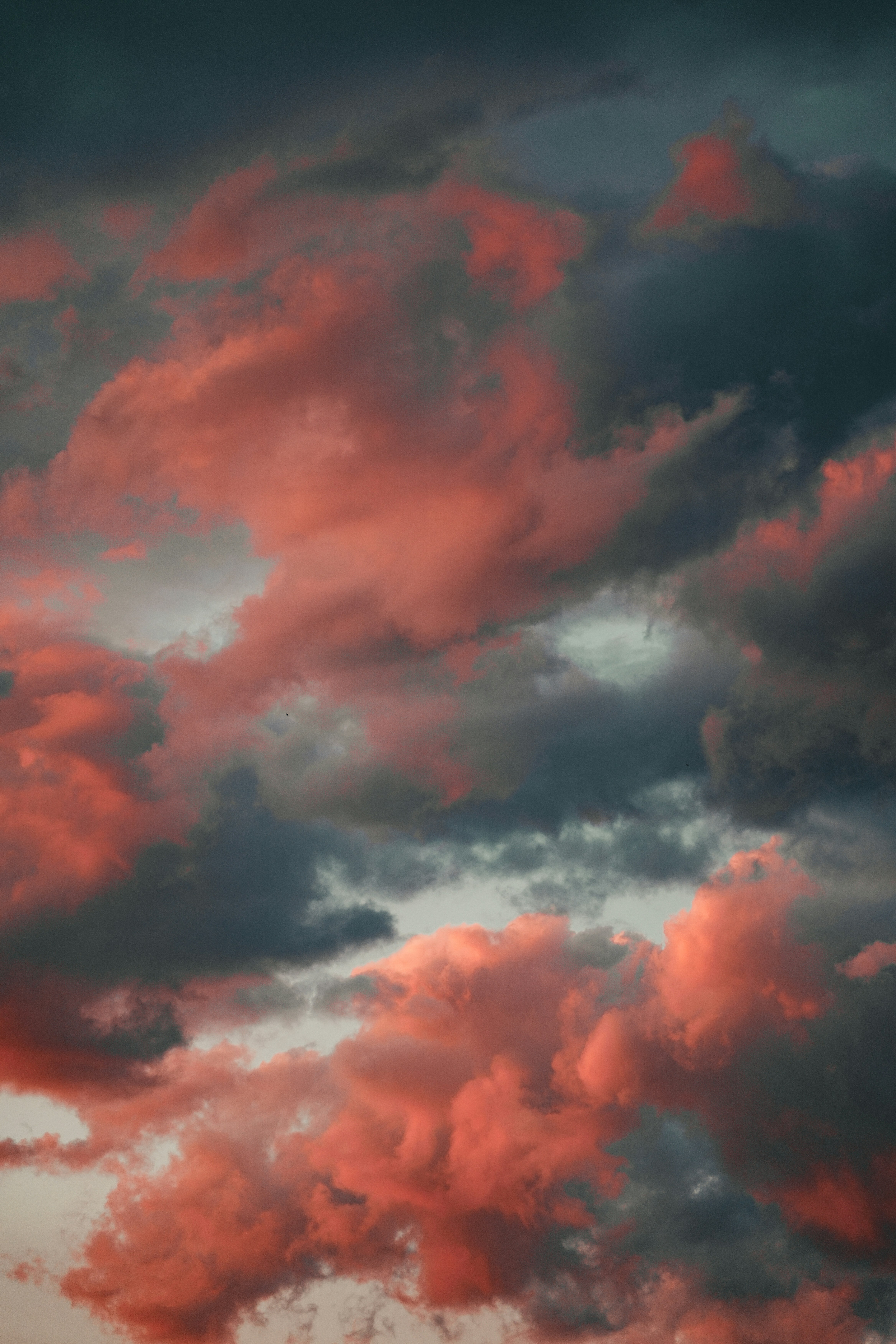 Photo by nenadkaevik