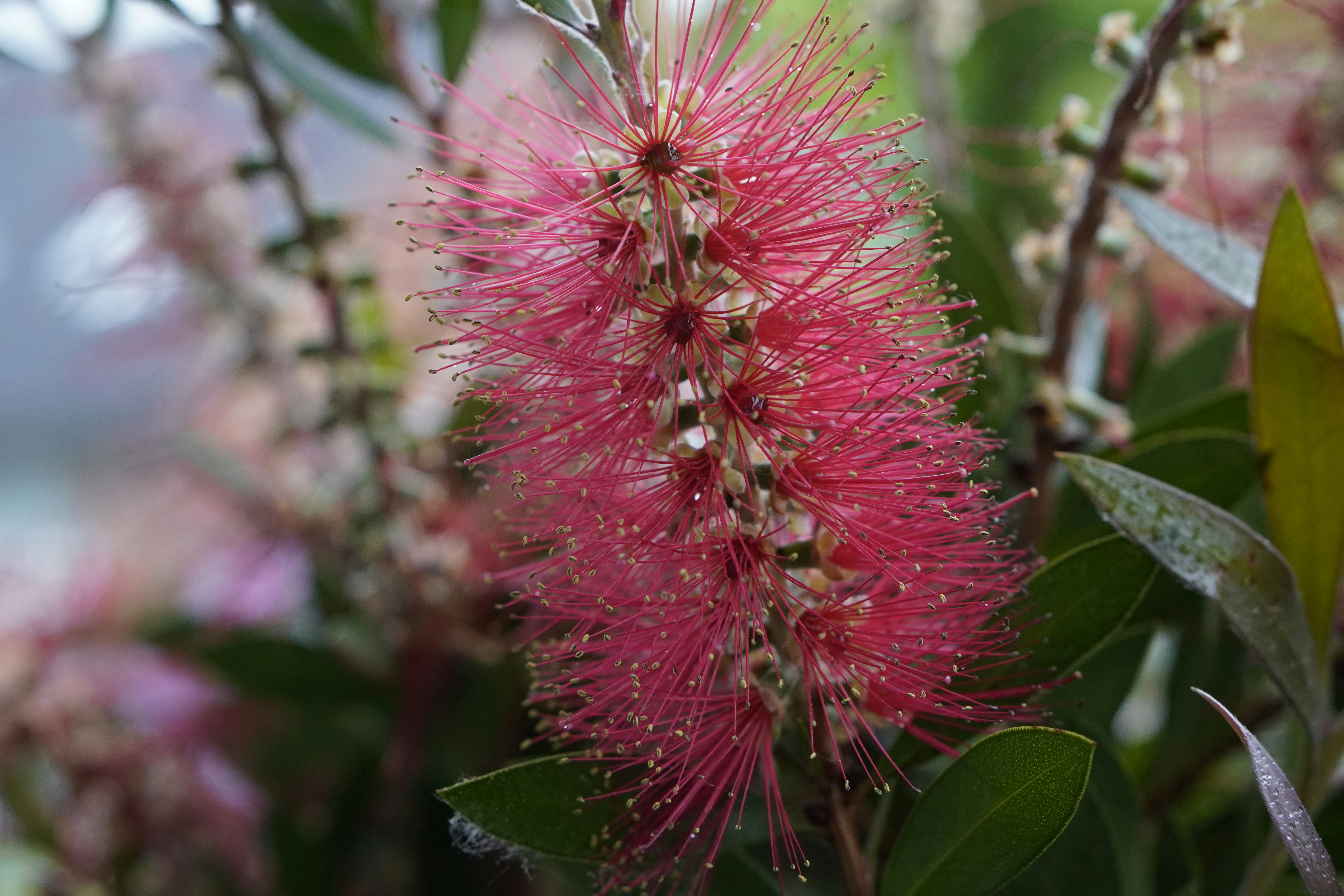 Photo by todorandonov