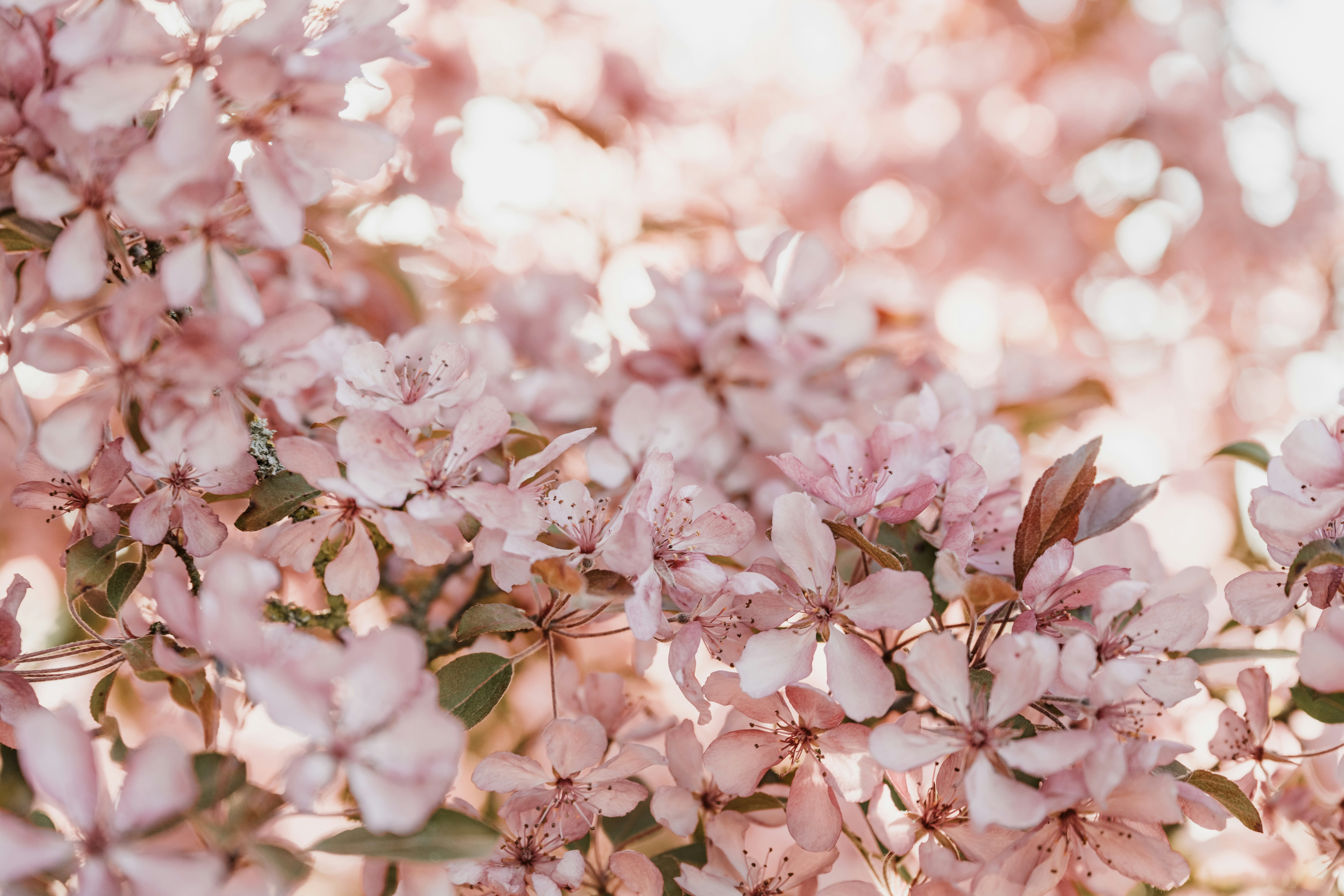 Photo by anitaaustvika