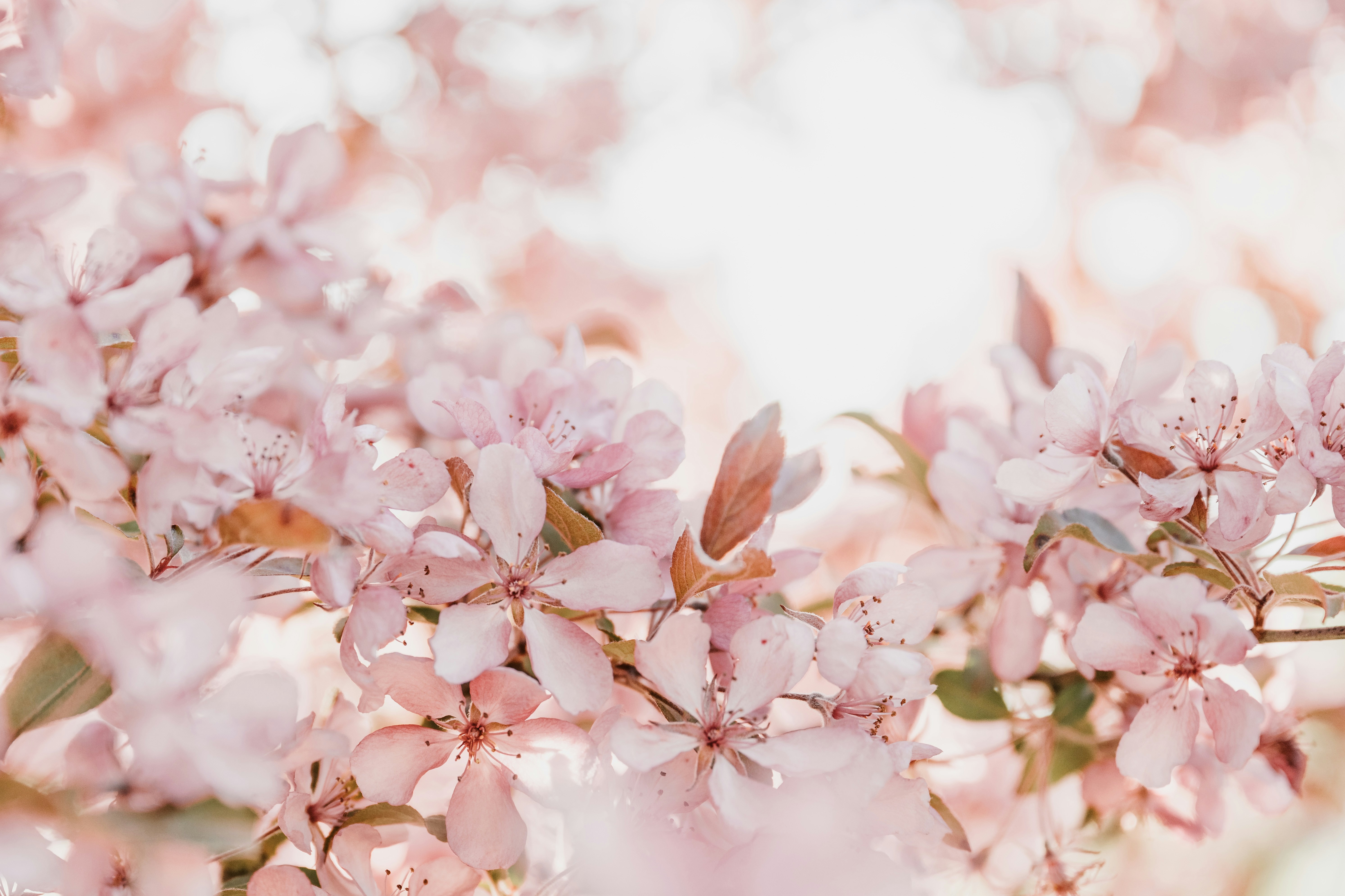 How The 10 Worst Espresso Machine Deals-Related FAILS Of All Time Could Have Been Avoided