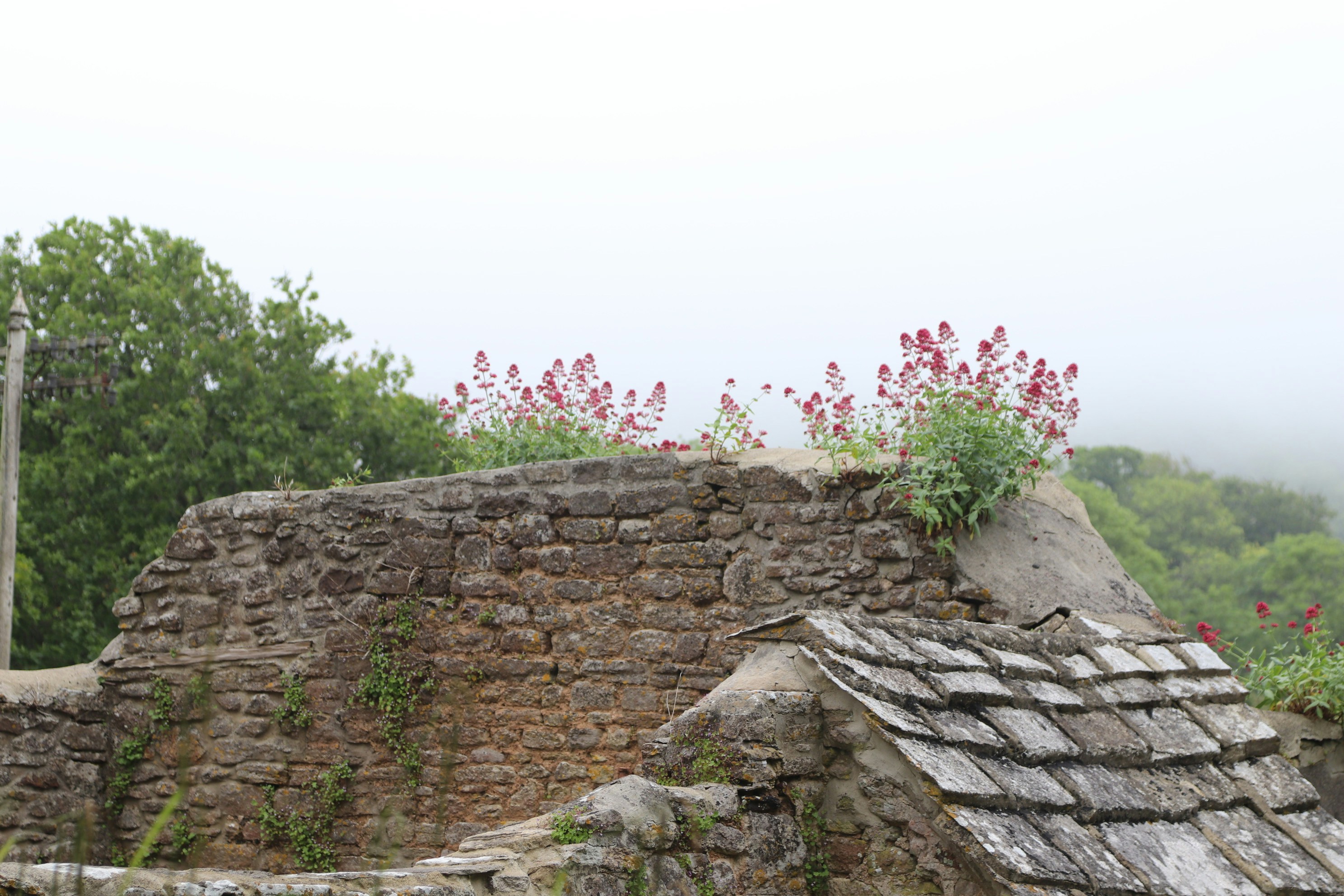 Photo by tanyabarrow