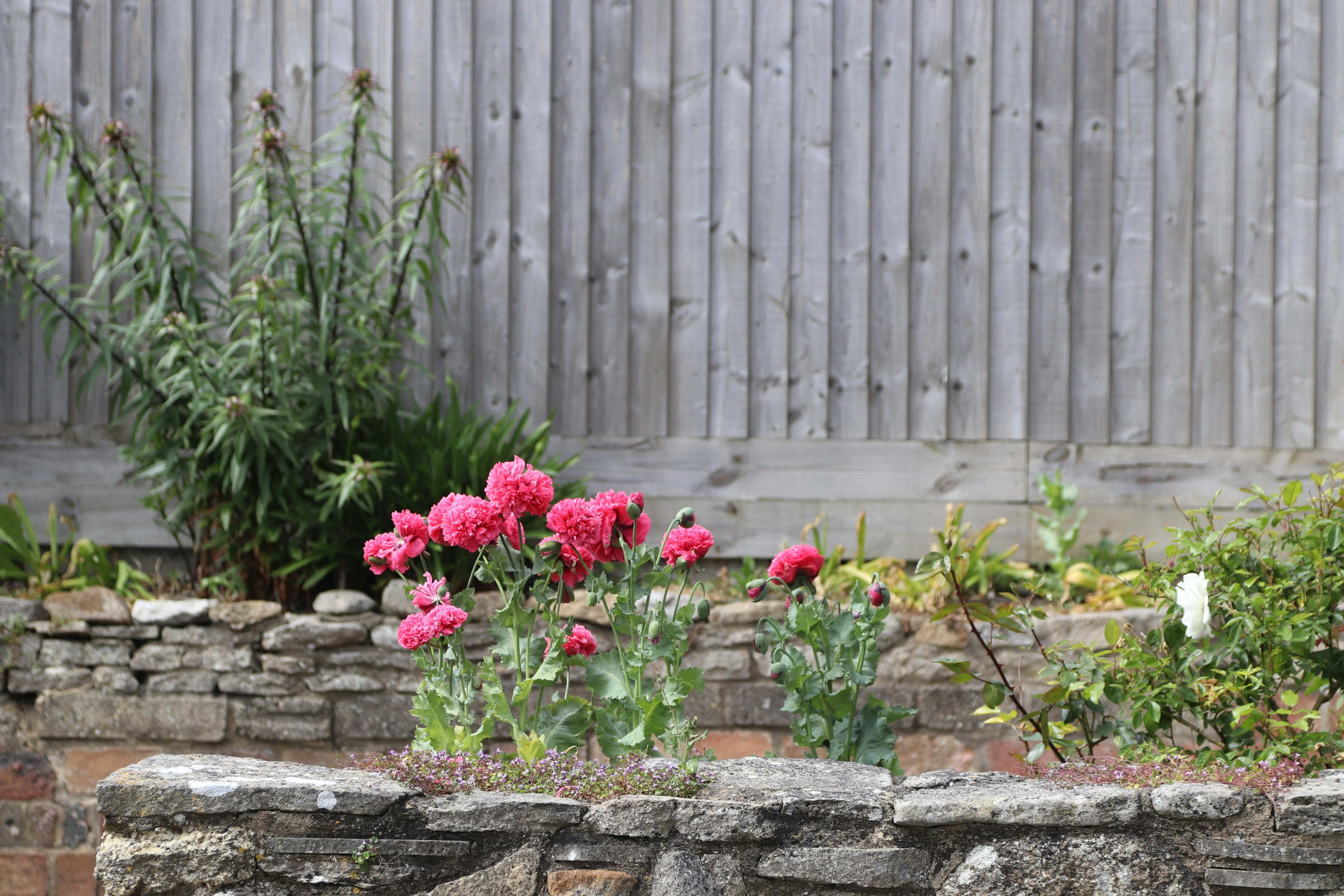 Photo by tanyabarrow