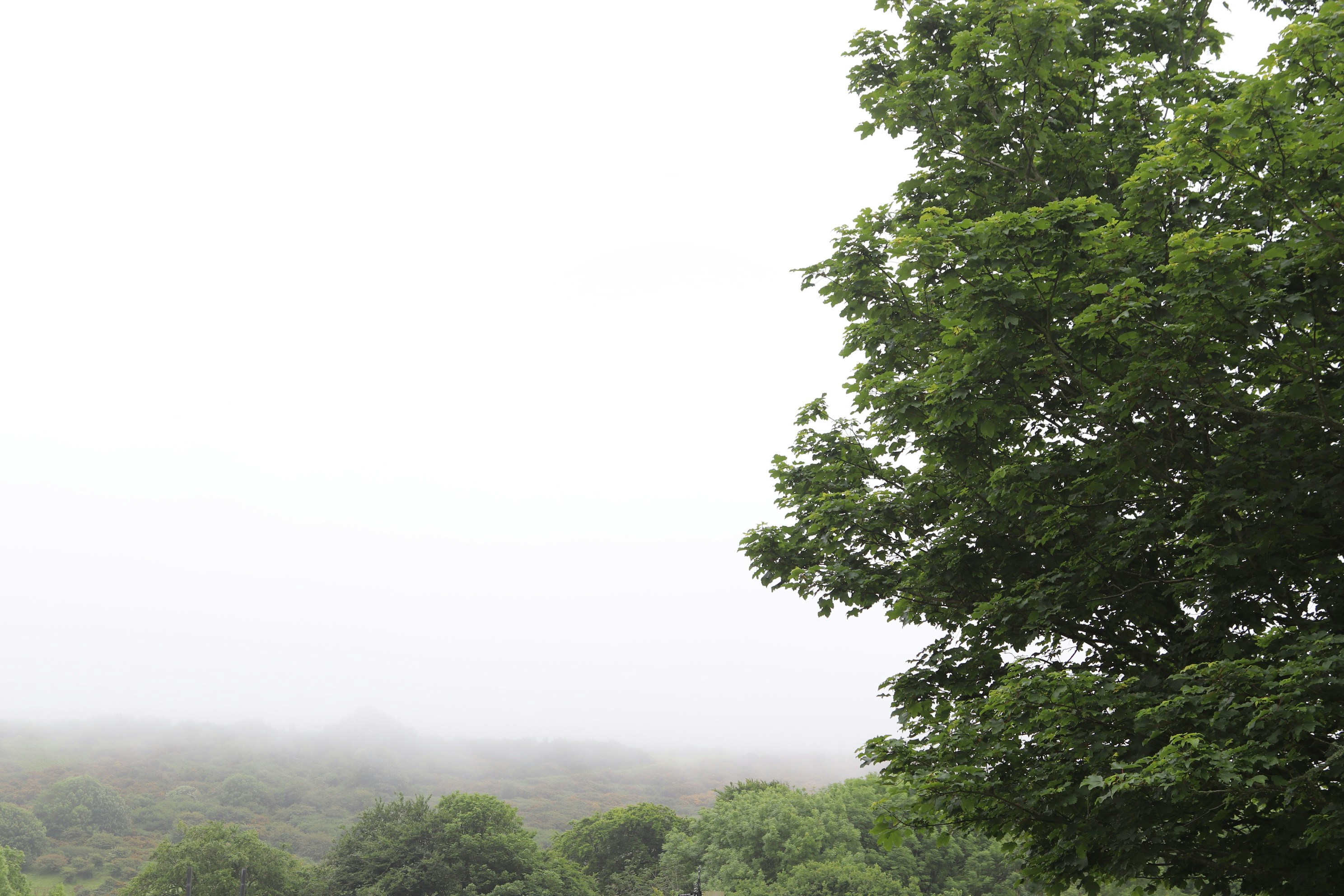 Photo by tanyabarrow