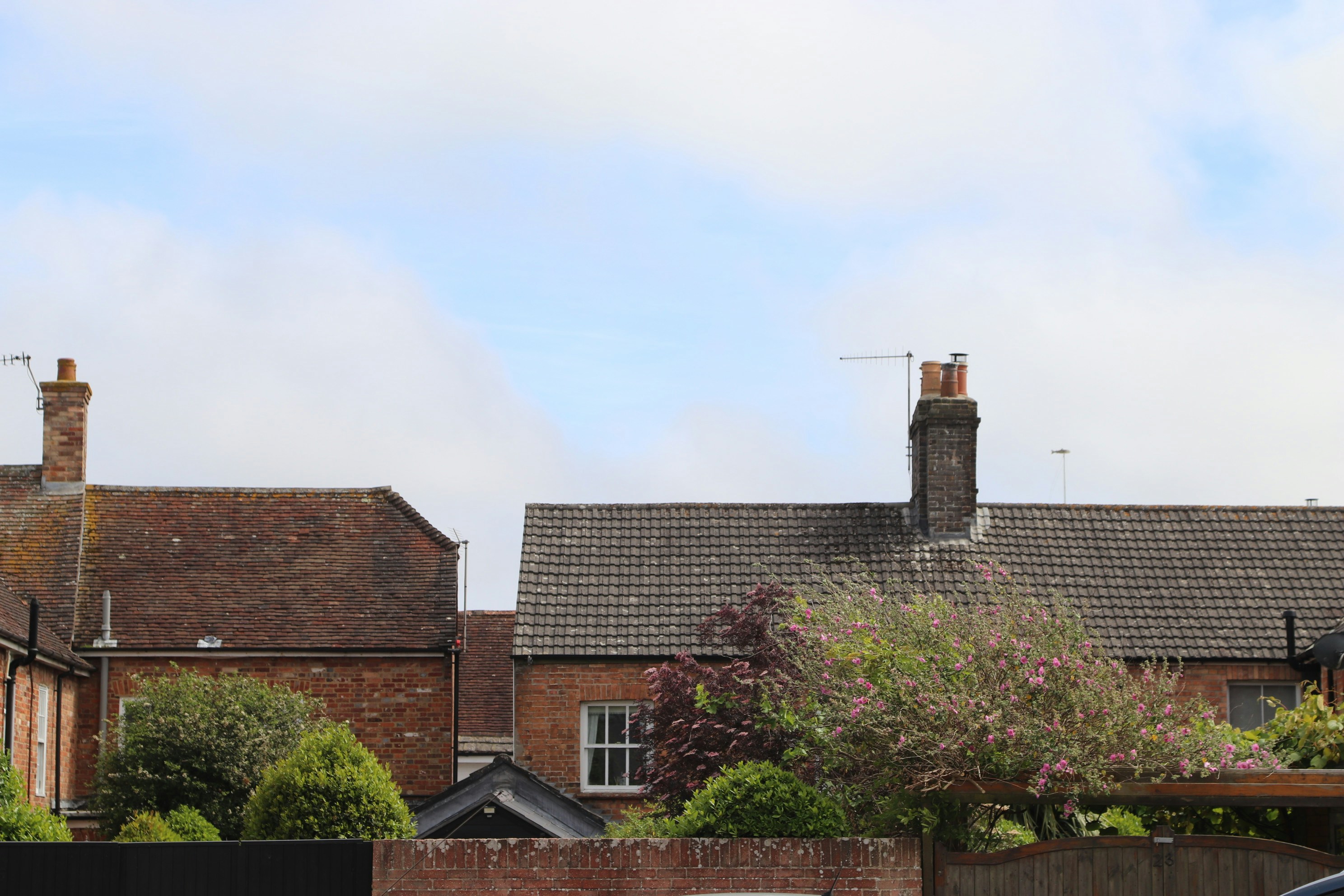 Photo by tanyabarrow