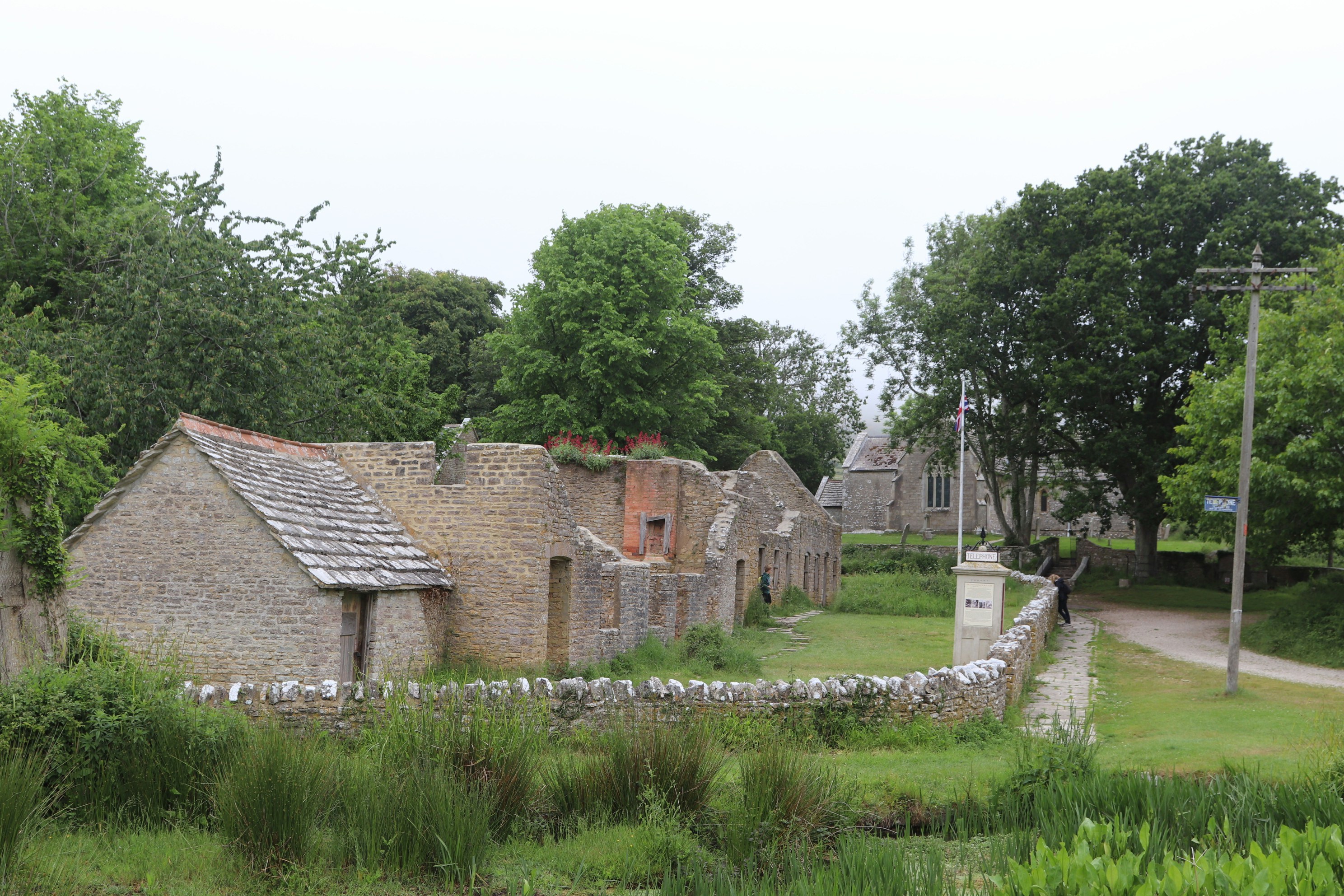 Photo by tanyabarrow