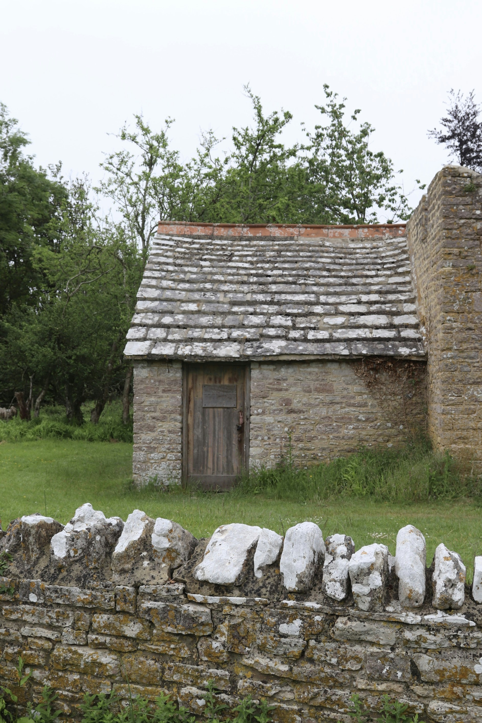 Photo by tanyabarrow