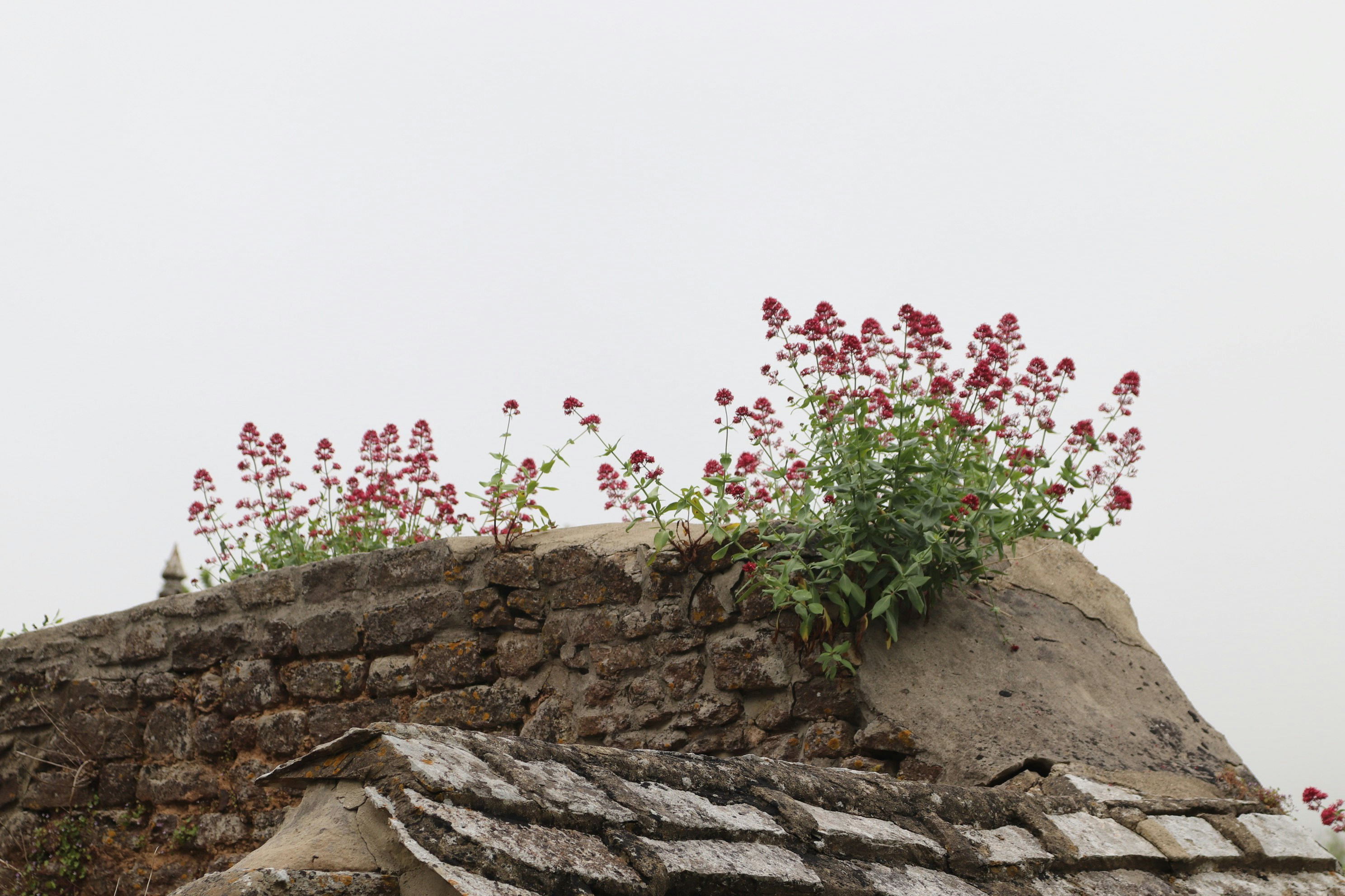 Photo by tanyabarrow