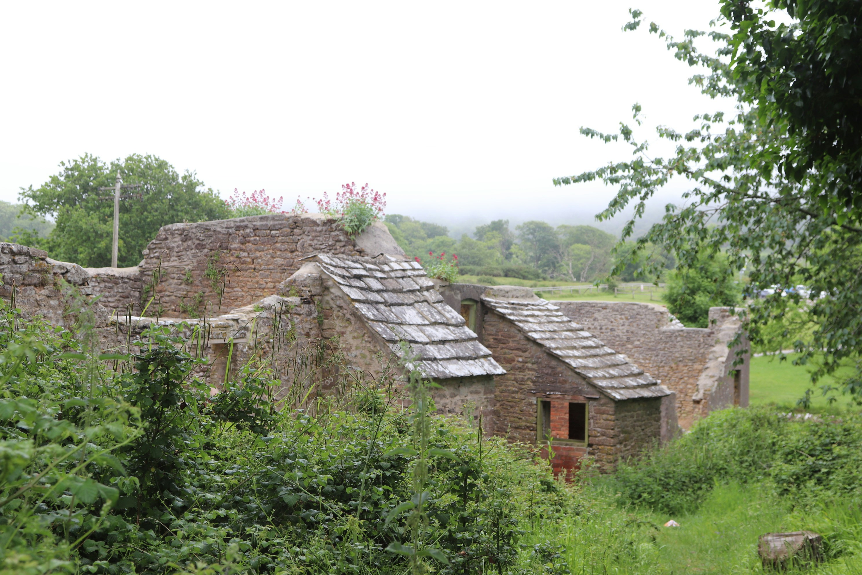 Photo by tanyabarrow