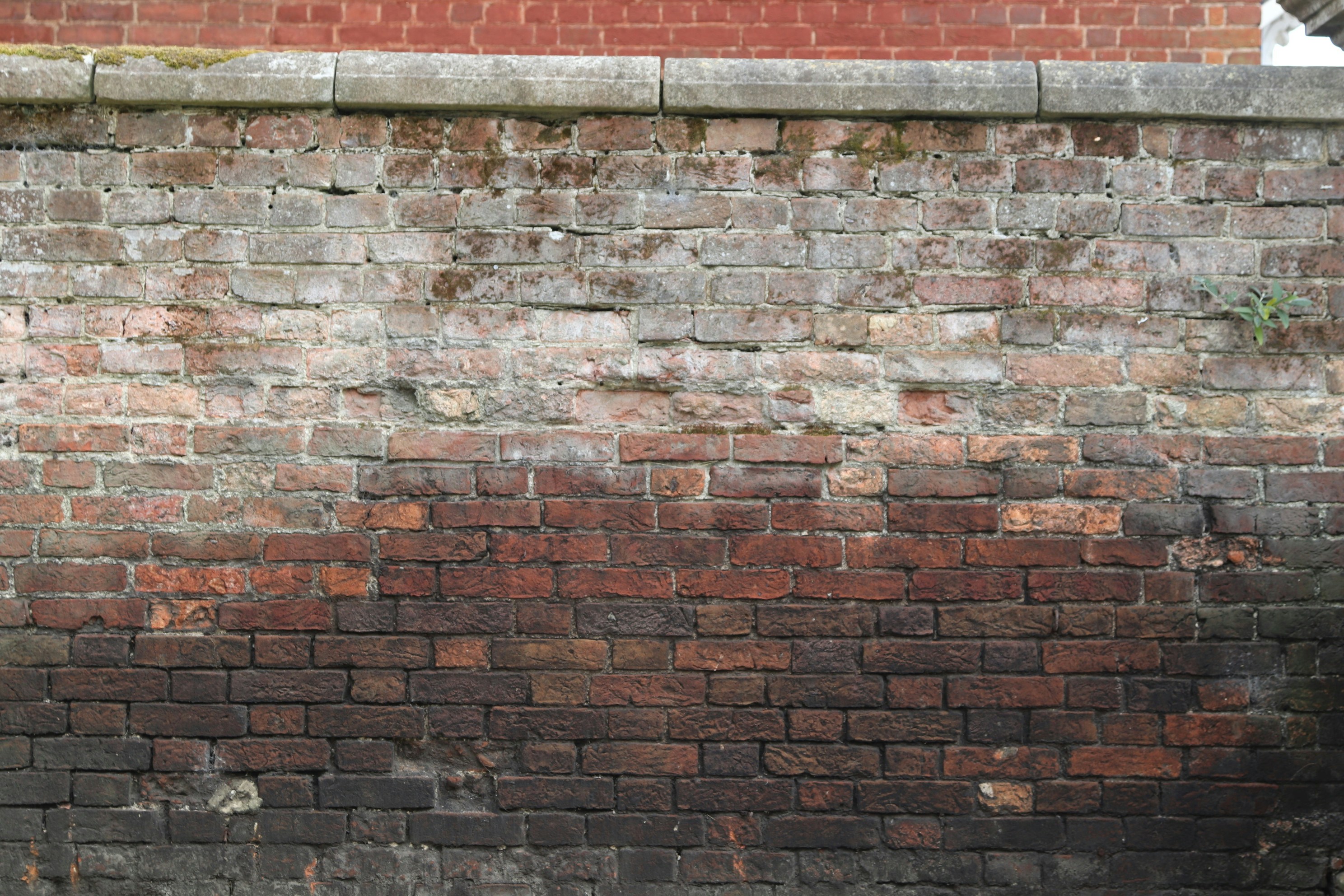 Photo by tanyabarrow