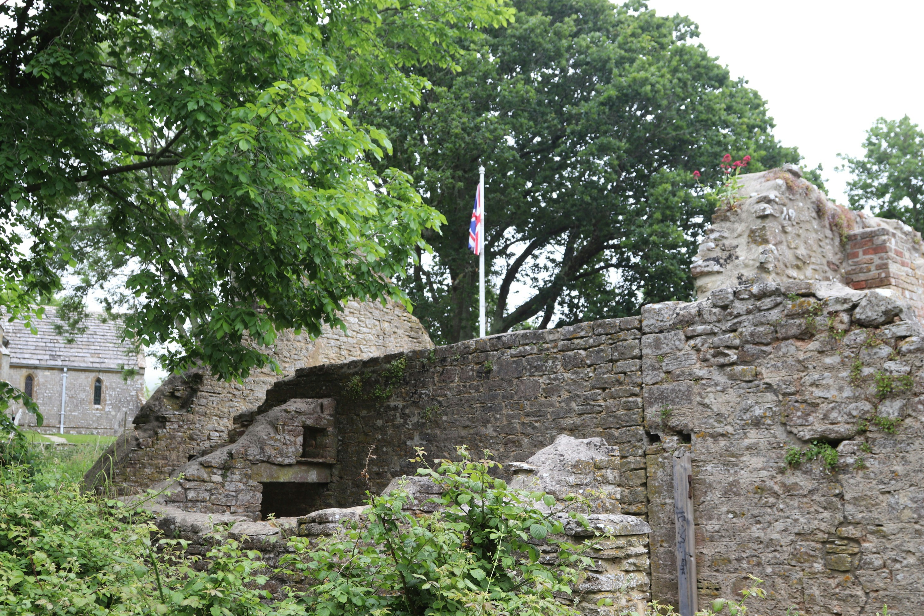 Photo by tanyabarrow