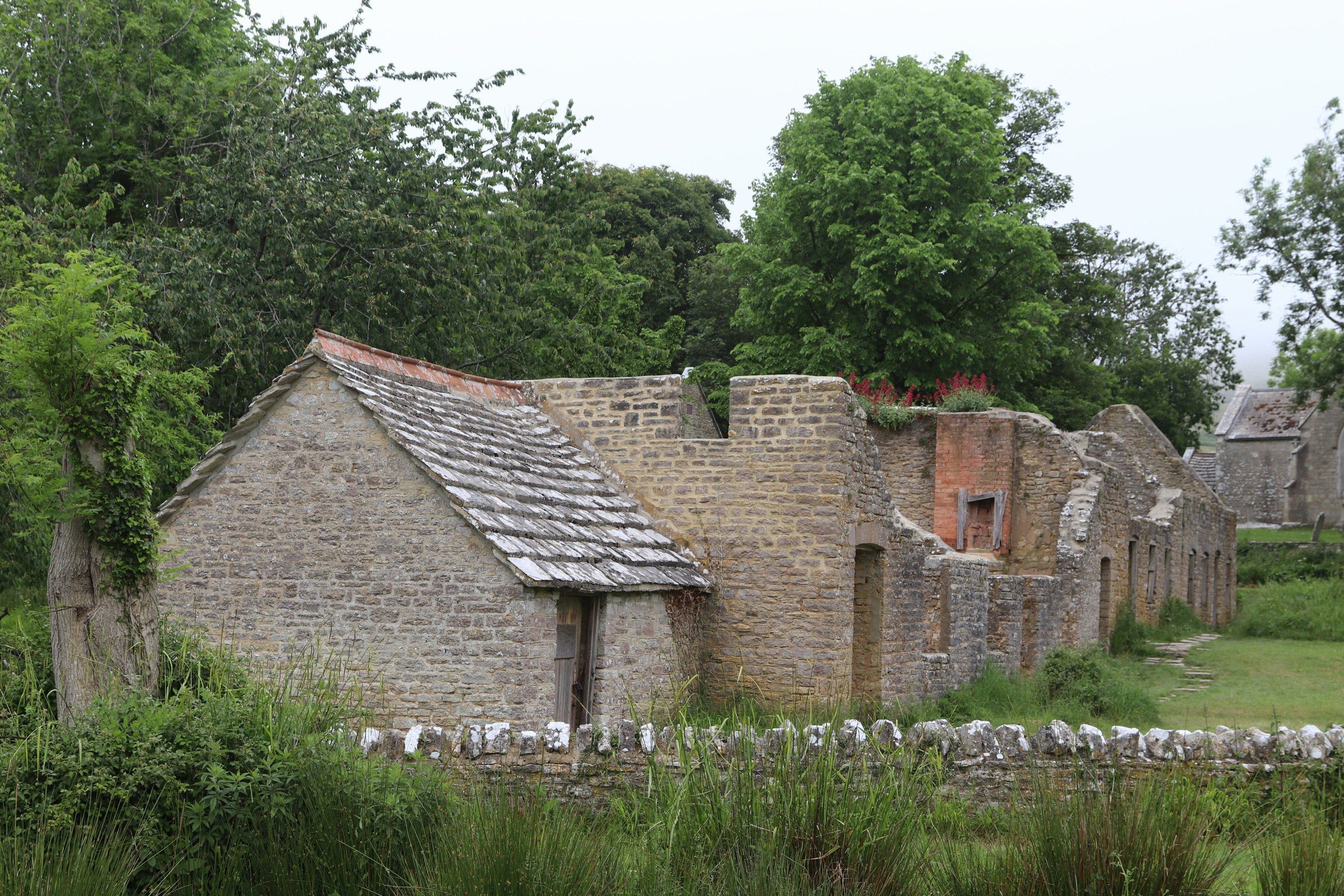 Photo by tanyabarrow