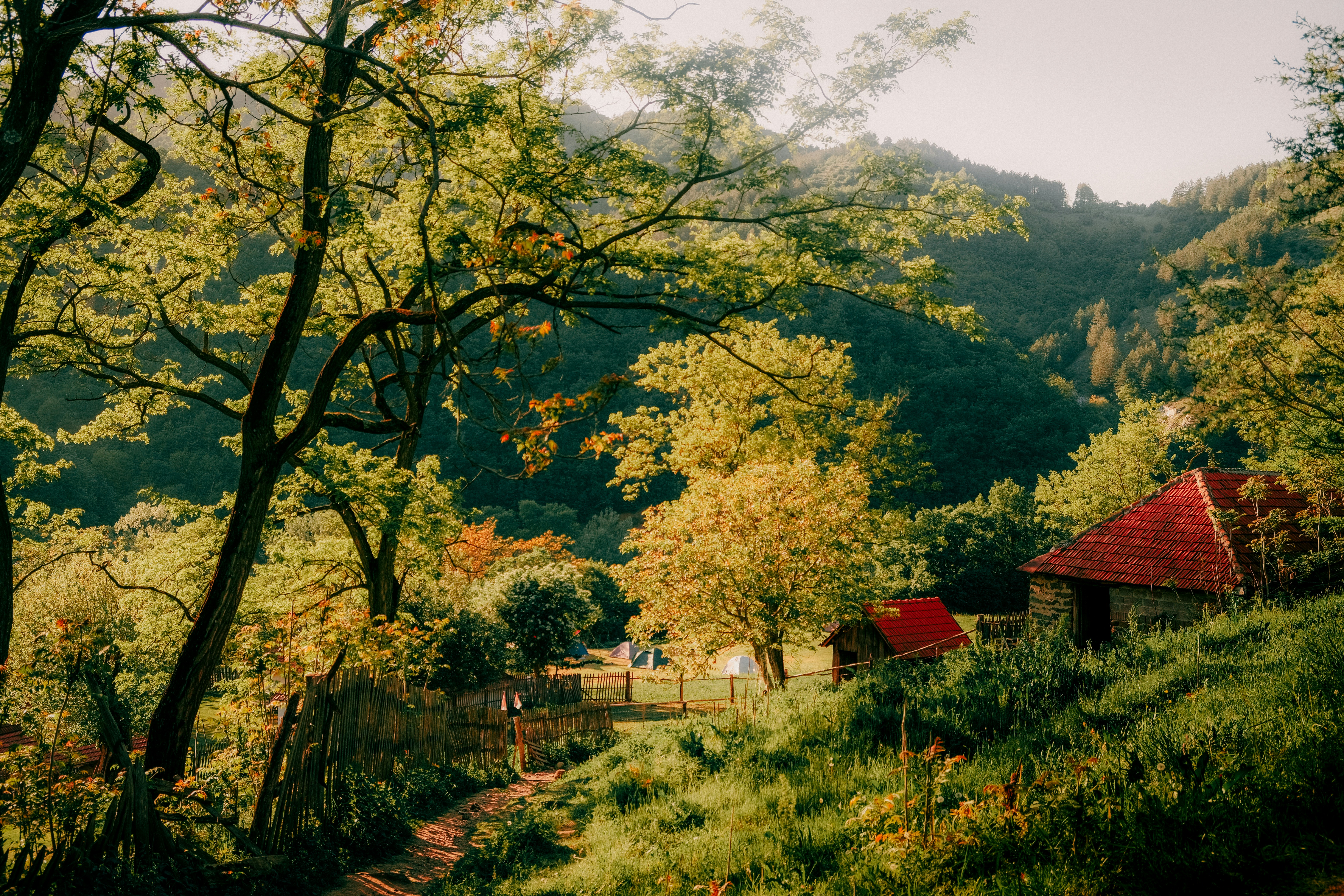 Photo by marishphoto