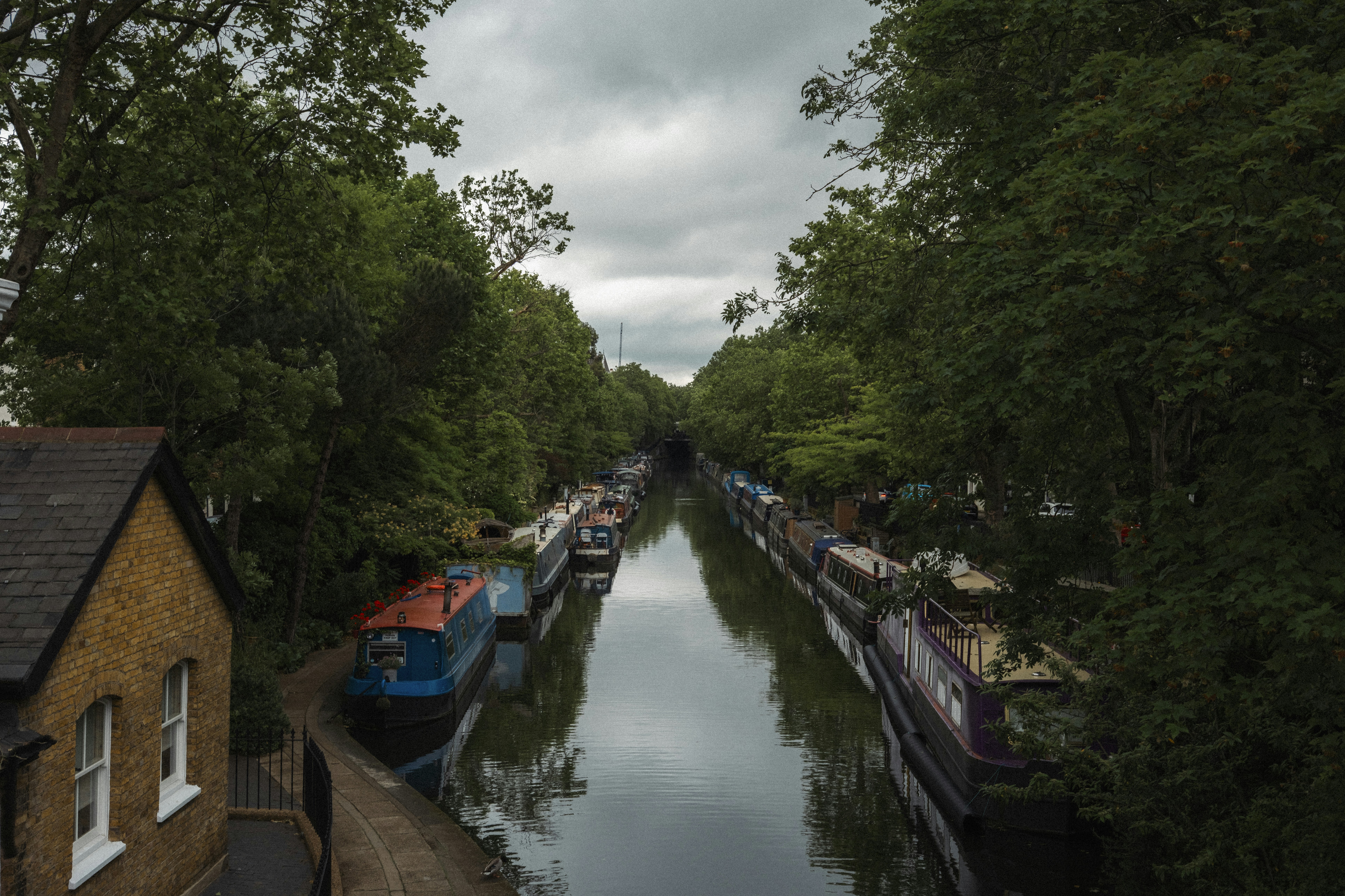 Photo by throughalekslens