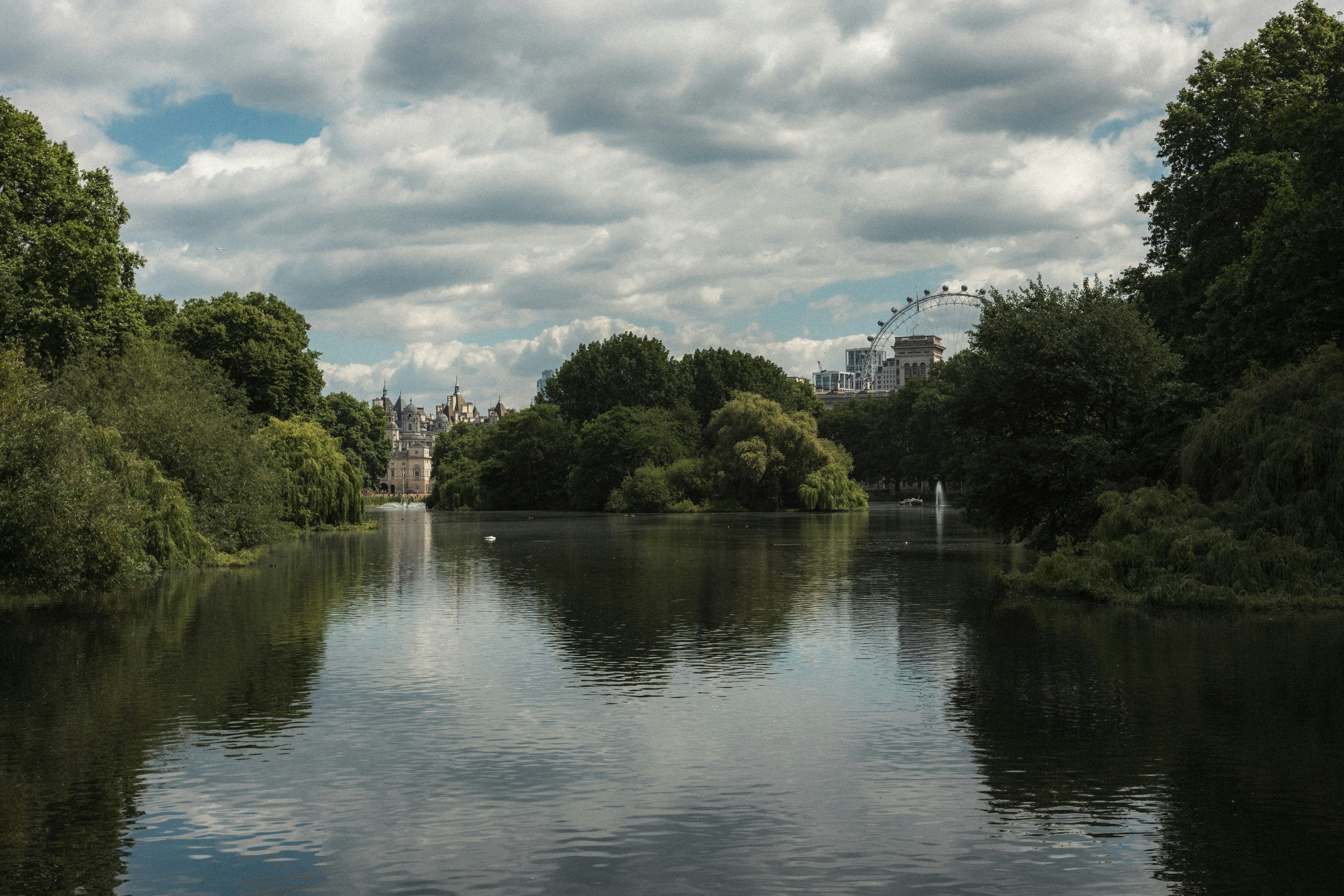 Photo by throughalekslens