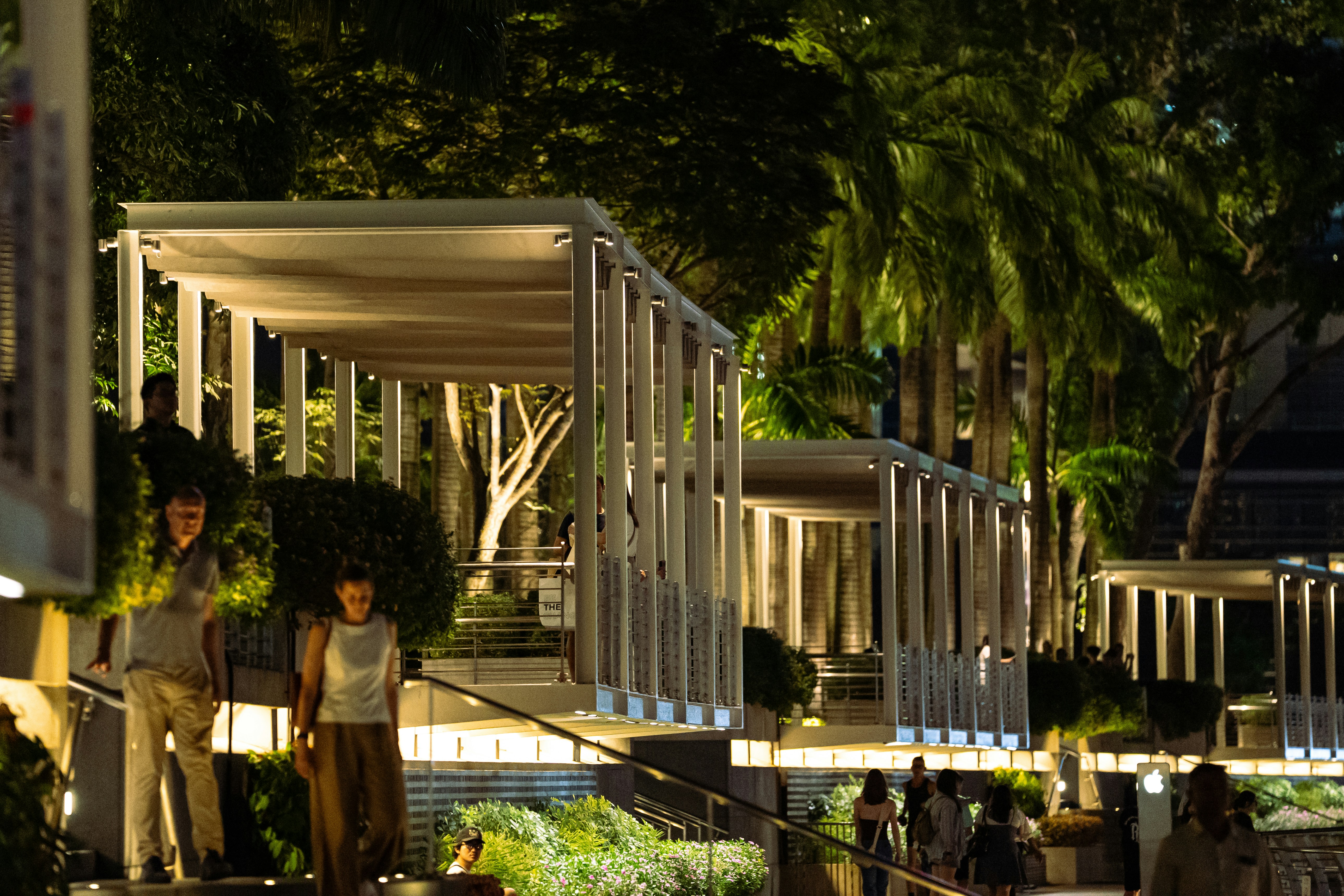 Photo by soroushzargar